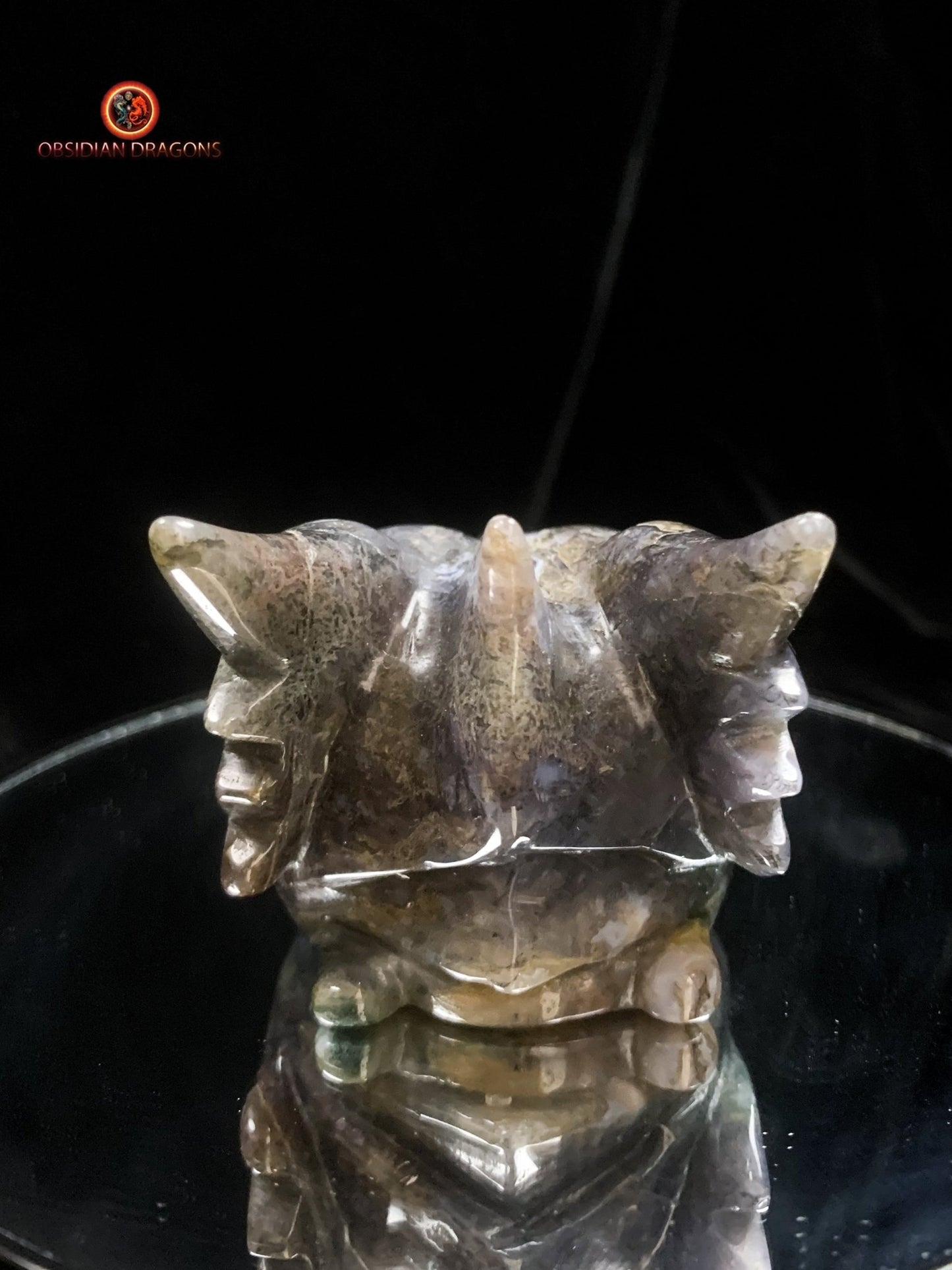Crâne de dragon sculpté en agate mousse- Rare | obsidian dragons