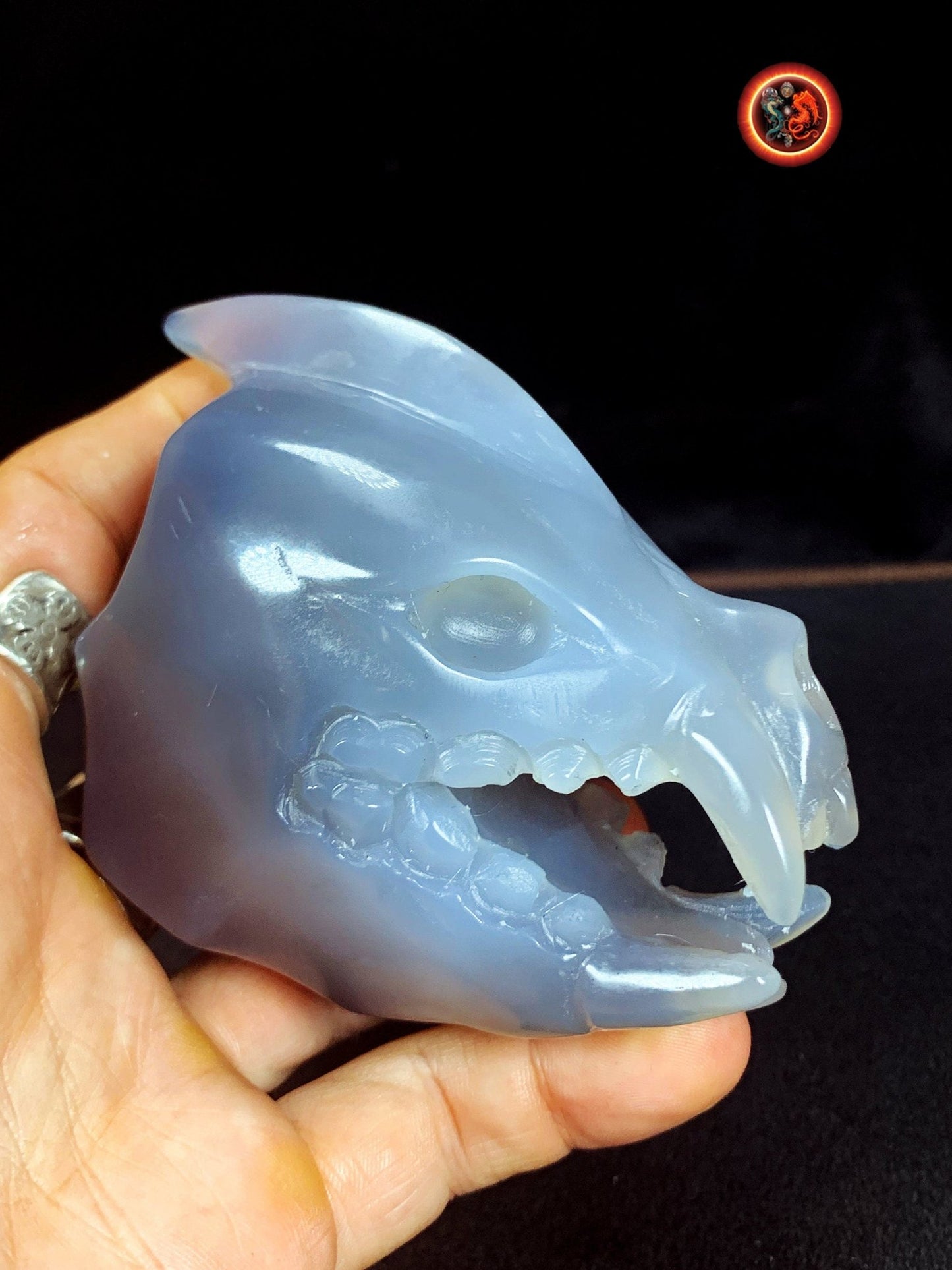 Crane de protection. Leopard Zheng. Dragon. Aspirateur d'energie impure, garant de l'ordre cosmique. Crane de dragon, sculpté dans une geode - obsidian dragon