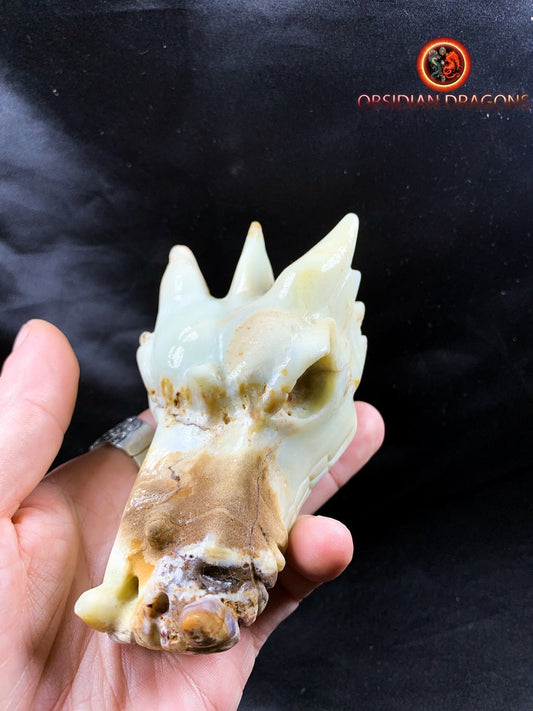 Crâne de dragon, tête de dragon, crâne de cristal, dragon skull,