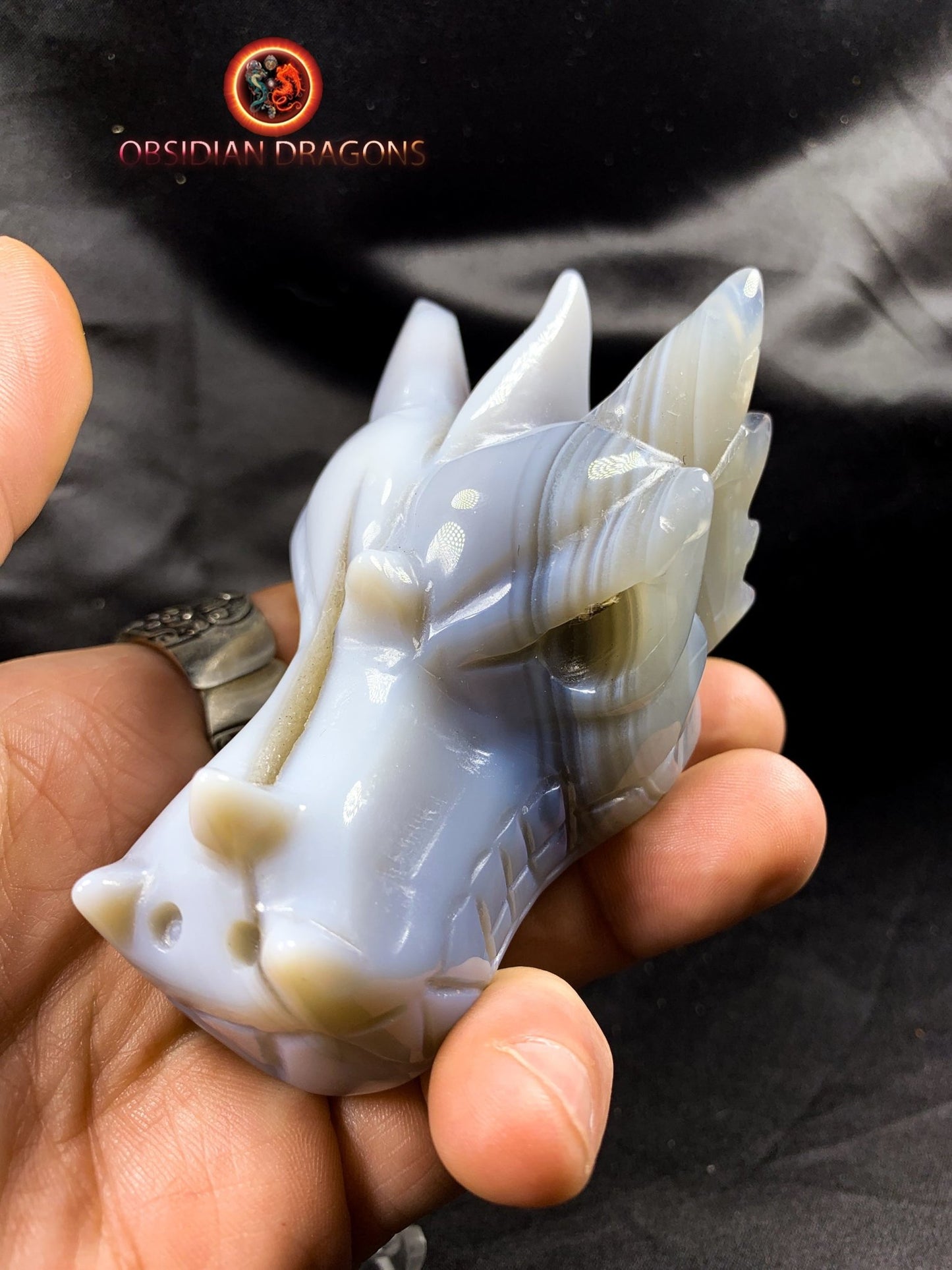 Crâne de dragon, tête de dragon, crâne de cristal, dragon skull