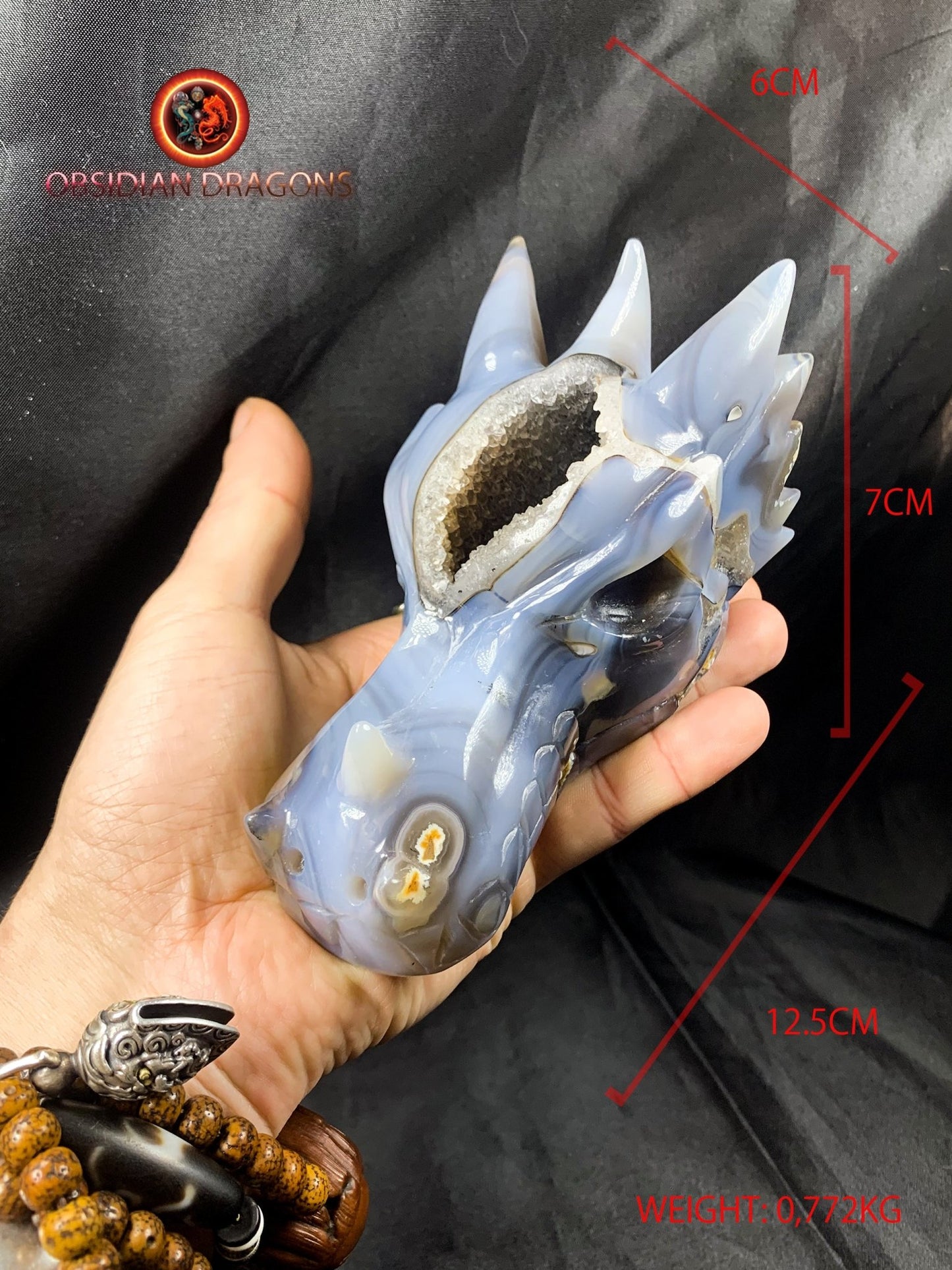 Crâne de dragon, tête de dragon, crâne de cristal, dragon skull,