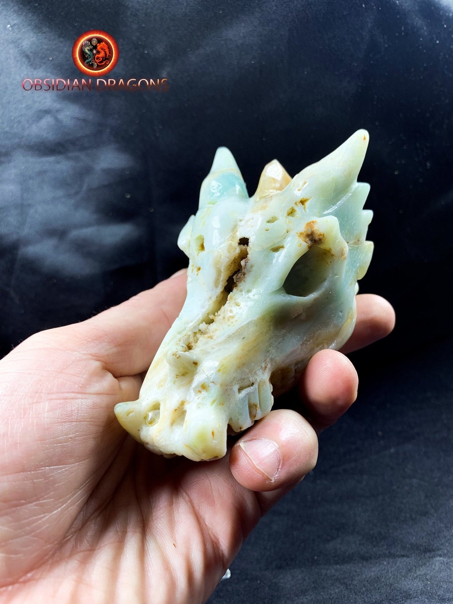 Crâne de dragon, tête de dragon, crâne de cristal, dragon skull