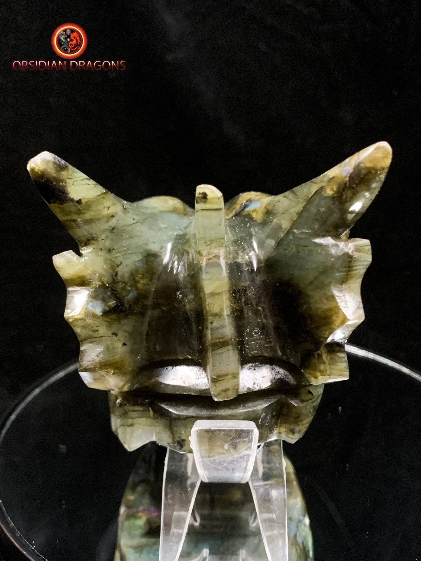 crâne de dragon- Labradorite- Authentique