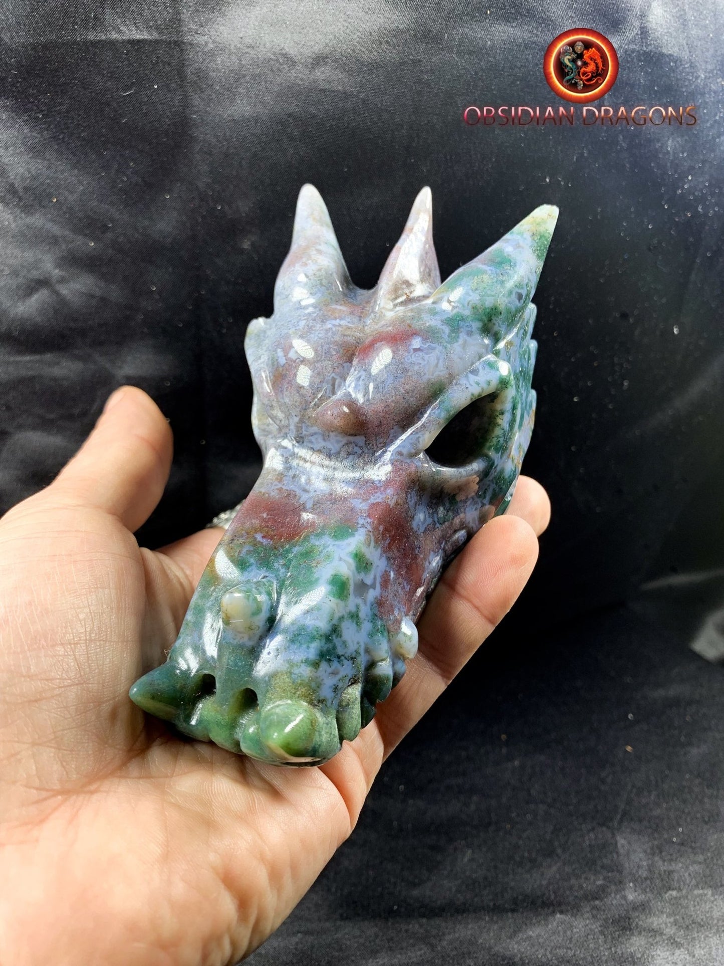 Crâne de dragon, tête de dragon, crâne de cristal, dragon skull