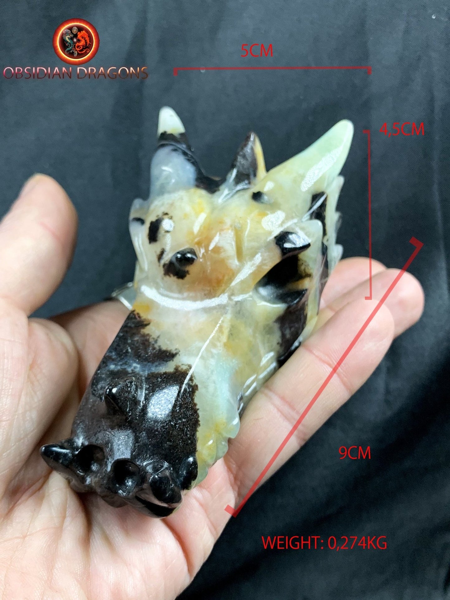 Crâne de dragon, tête de dragon, crâne de cristal, dragon skull,