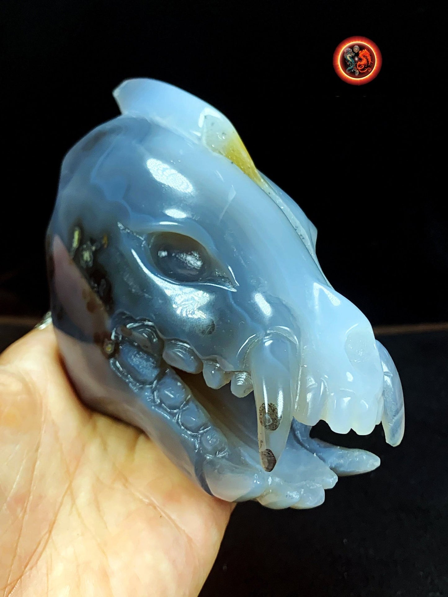 Crane de protection. Leopard Zheng. Dragon. Aspirateur d'energie impure, garant de l'ordre cosmique. Crane de dragon, sculpté dans une geode - obsidian dragon