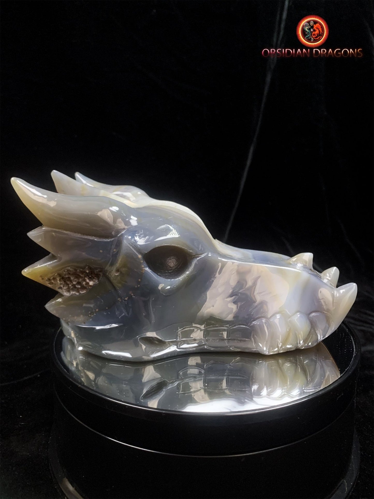 Crâne de dragon- Geode de quartz- Exceptionnel | obsidian dragons