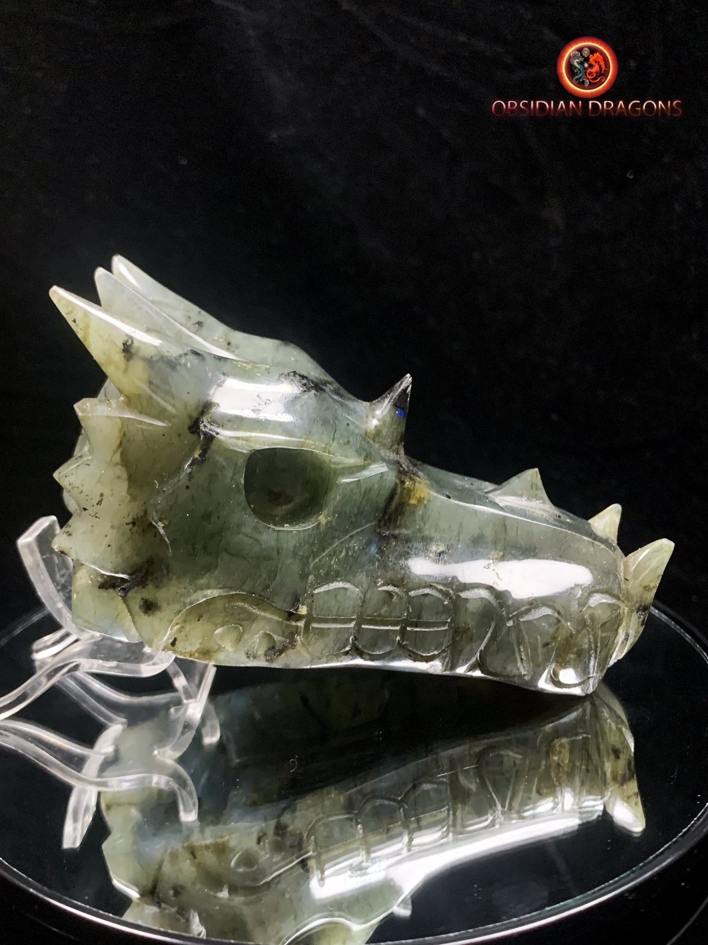 crâne de dragon en Labradorite- Artisanal