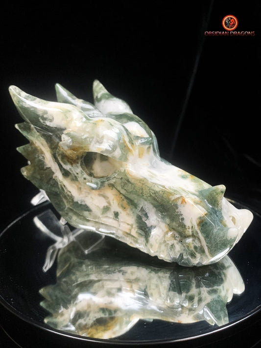 Crâne de dragon- Agate mousse- Artisanal | obsidian dragons