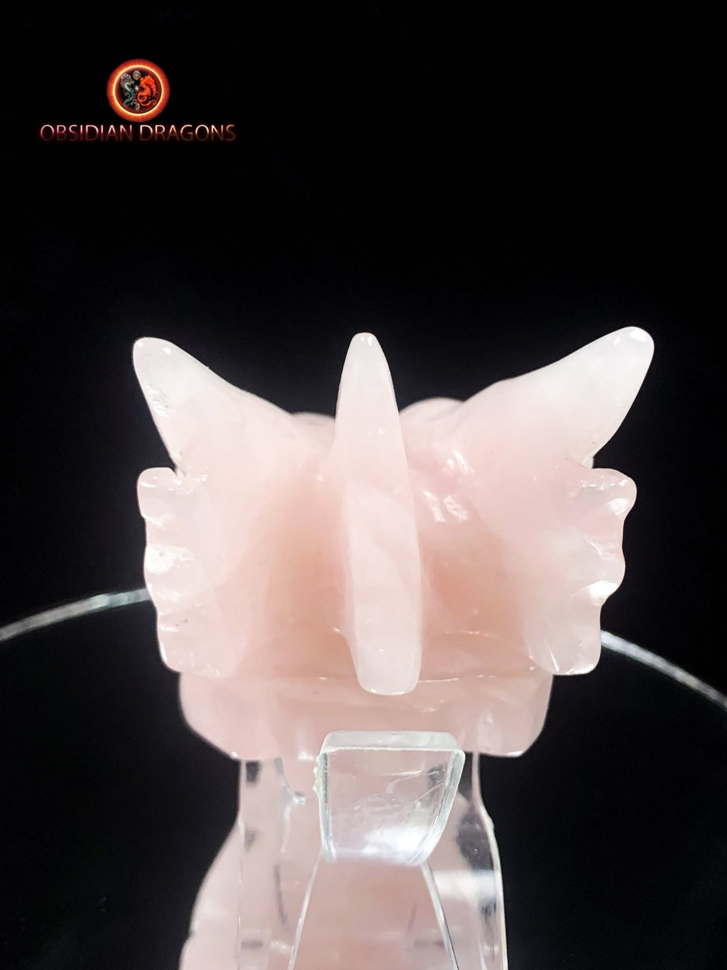 Crâne de dragon en quartz rose- pièce unique