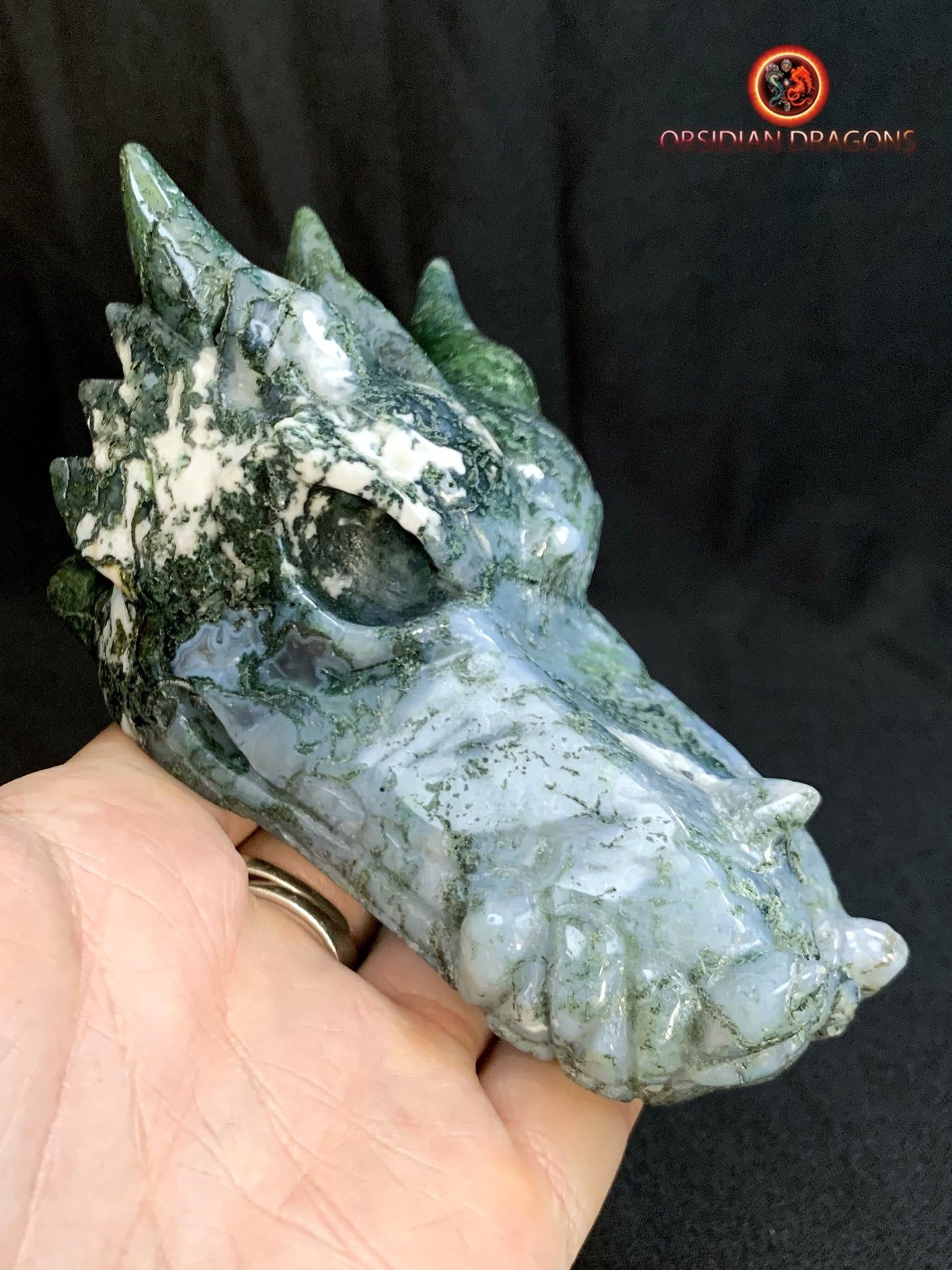 CRÂNE DE DRAGON- ARTISANAL- AGATE MOUSSE-UNIQUE