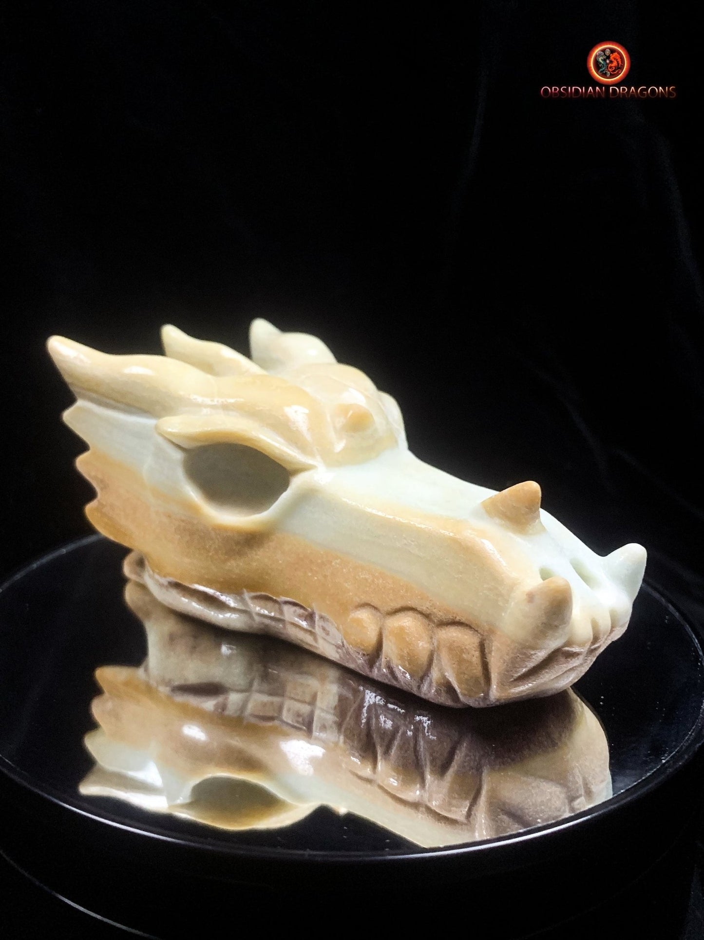 Crâne de dragon en Aragonite- Unique | obsidian dragons