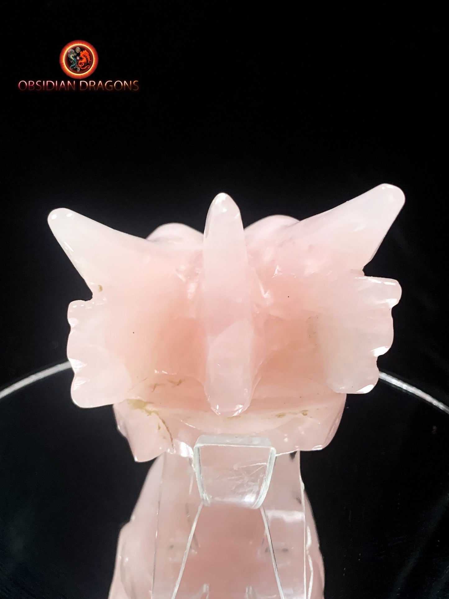Crâne de dragon- Quartz rose- Unique