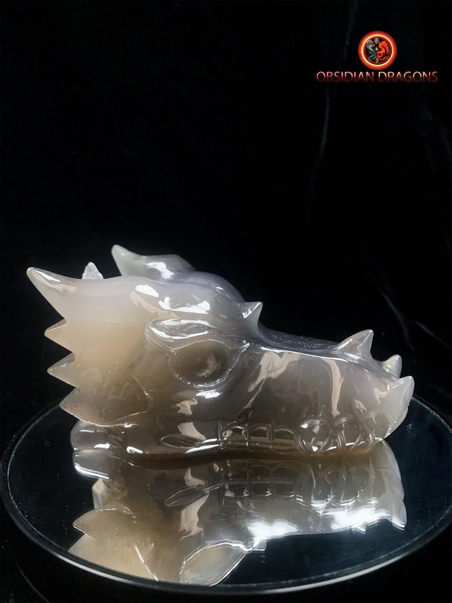 Crâne de dragon- Géode de quartz- Méditation draconique | obsidian dragons