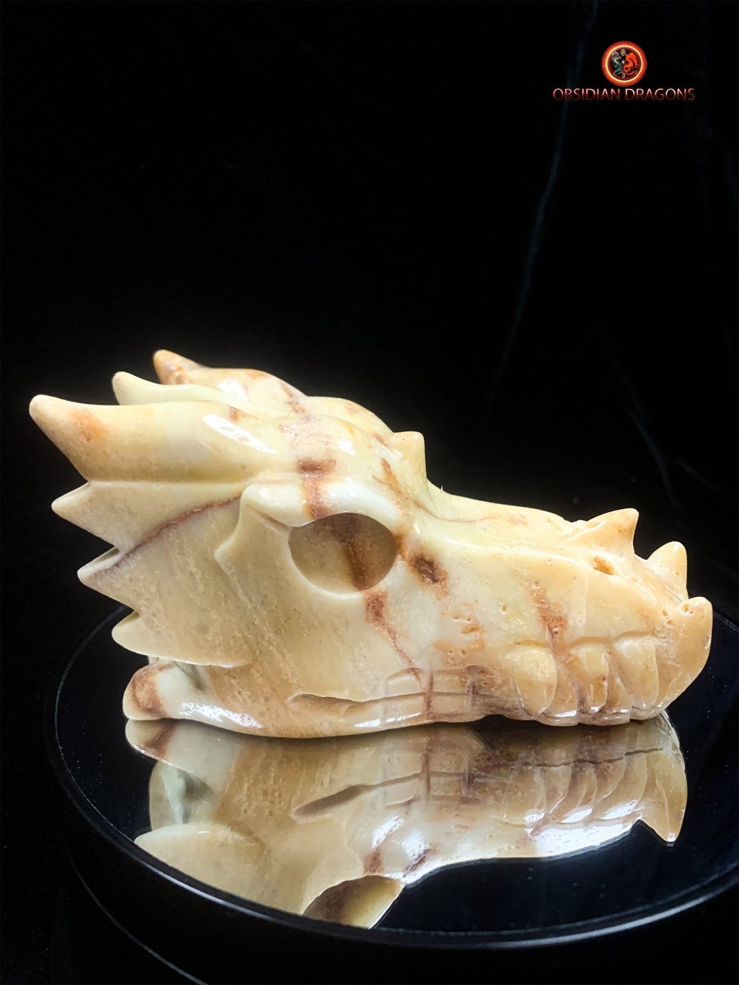 Crâne de dragon- Aragonite- Unique | obsidian dragons