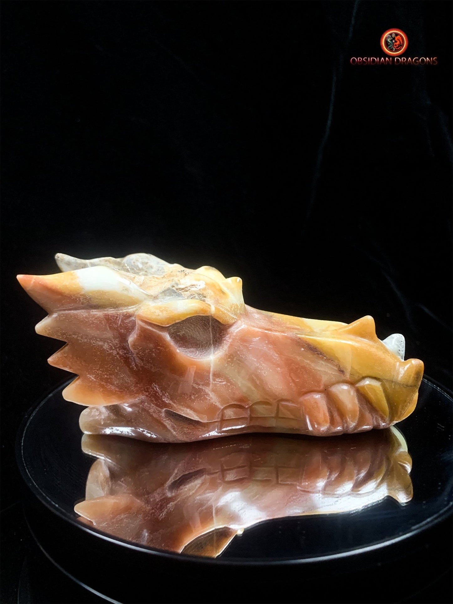 Crâne de dragon en Aragonite- Artisanal | obsidian dragons