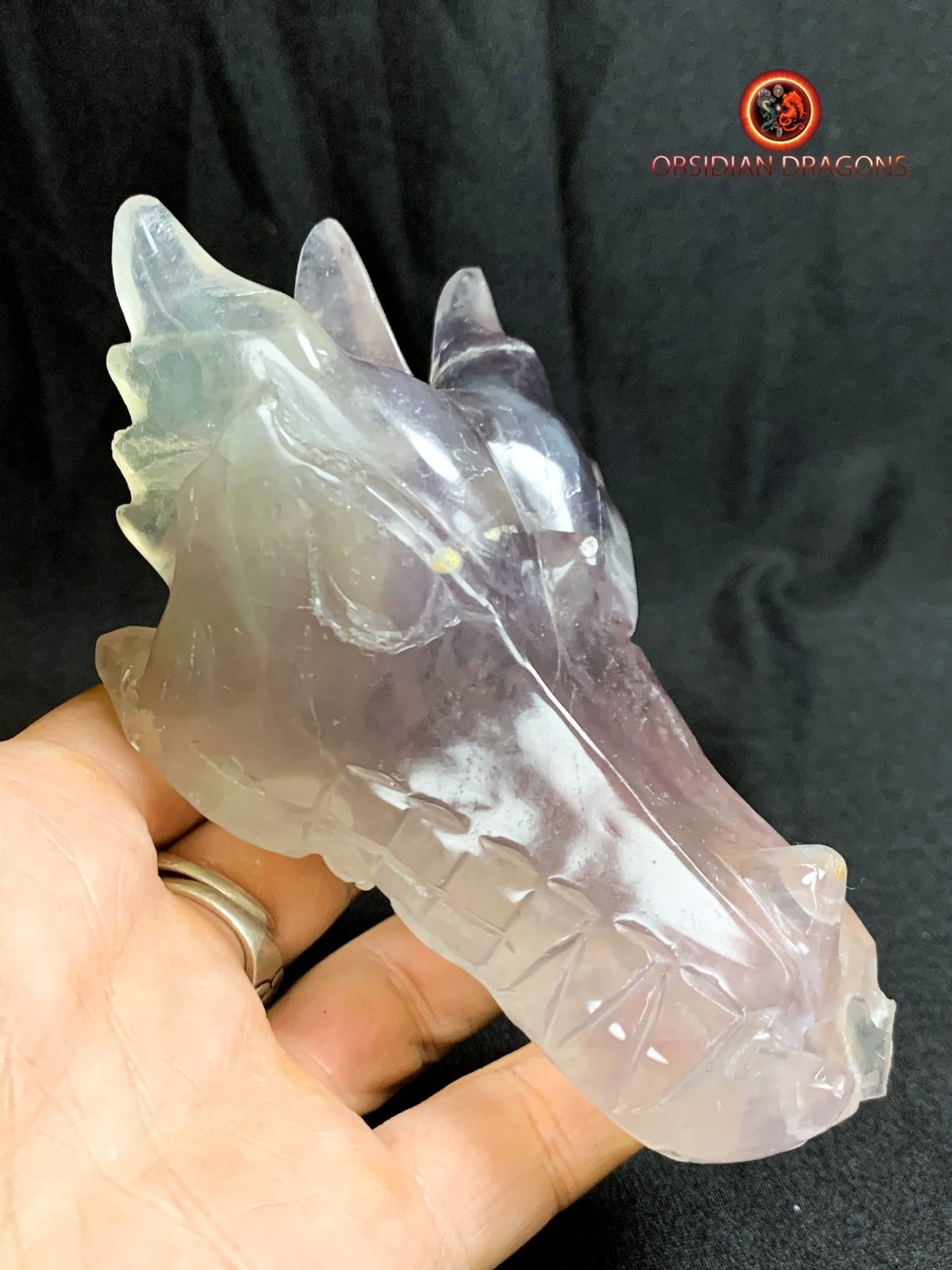 crâne de dragon- artisanal- fluorite- unique