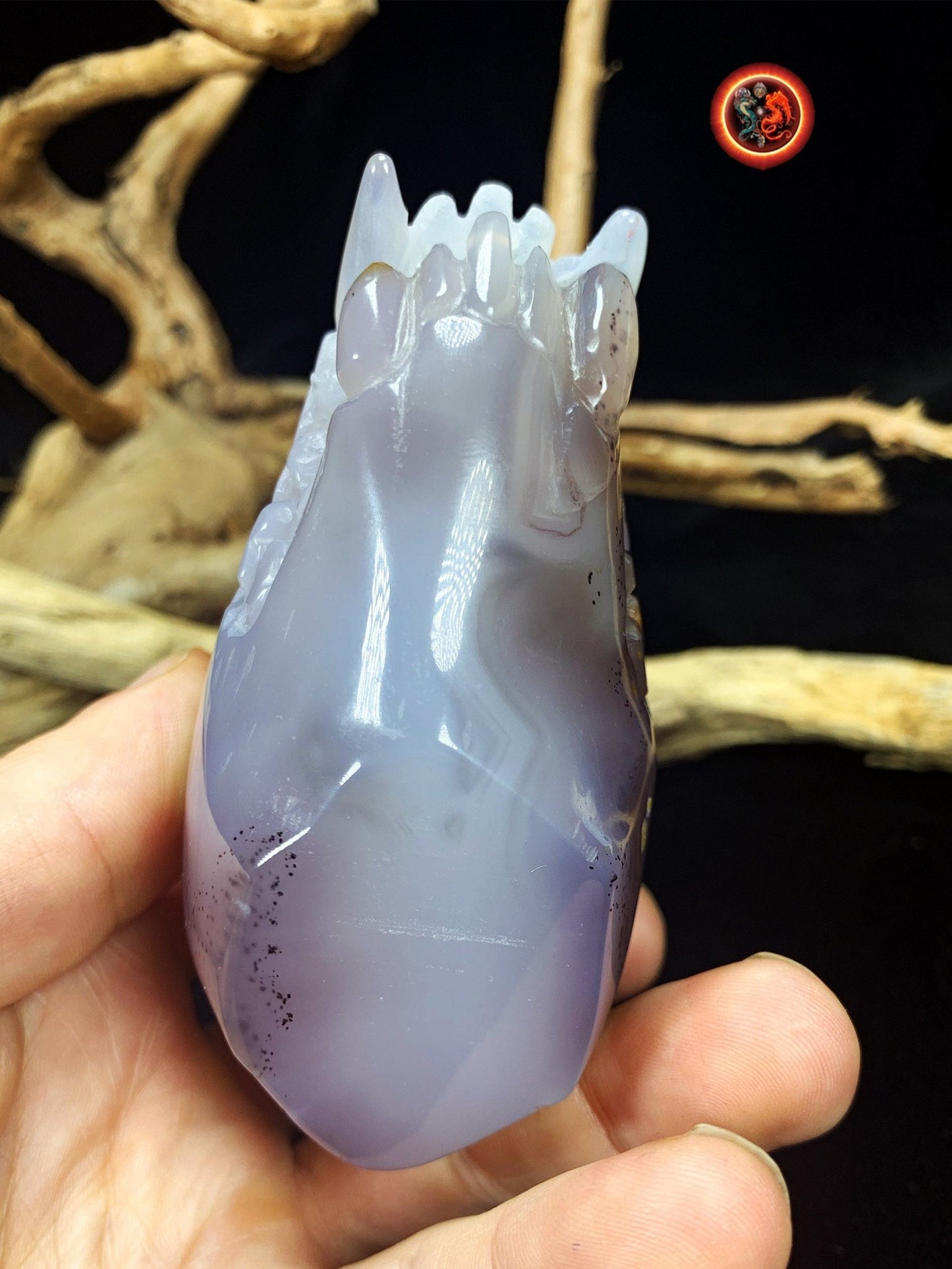 Crane de protection. Leopard Zheng. Dragon. Aspirateur d'energie impure, garant de l'ordre cosmique. Crane de dragon, sculpté dans une geode - obsidian dragon