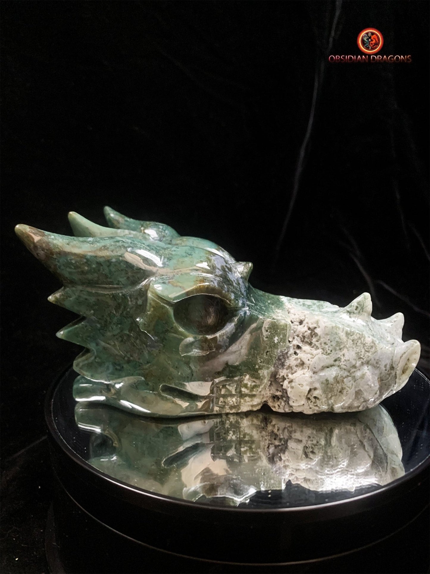 Grand crâne de dragon sculpté en agate mousse | obsidian dragons