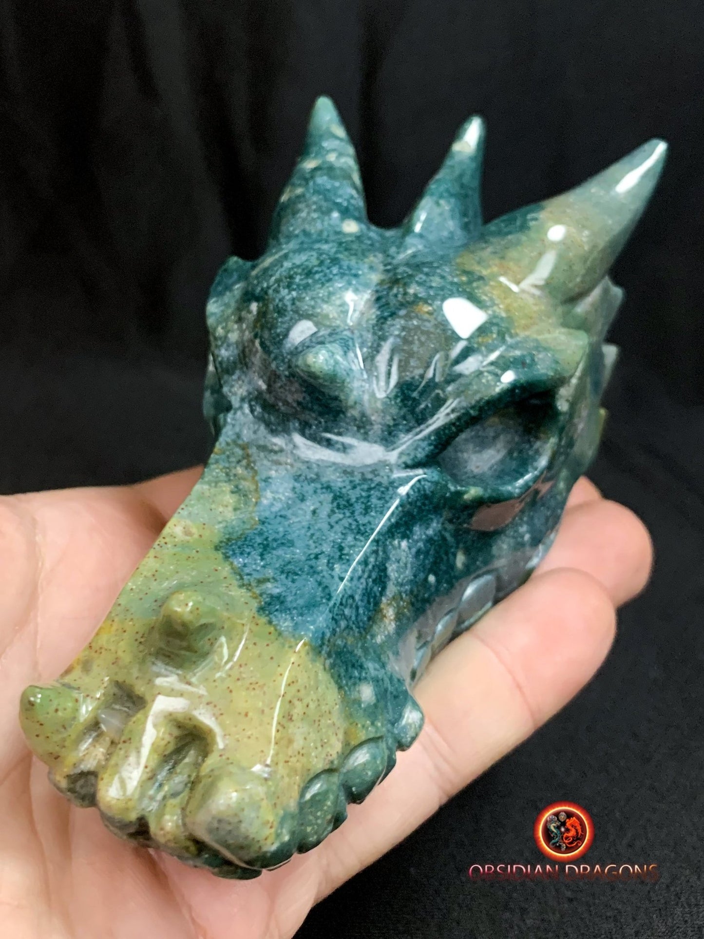 CRÂNE DE DRAGON- ARTISANAL- AGATE MOUSSE-UNIQUE