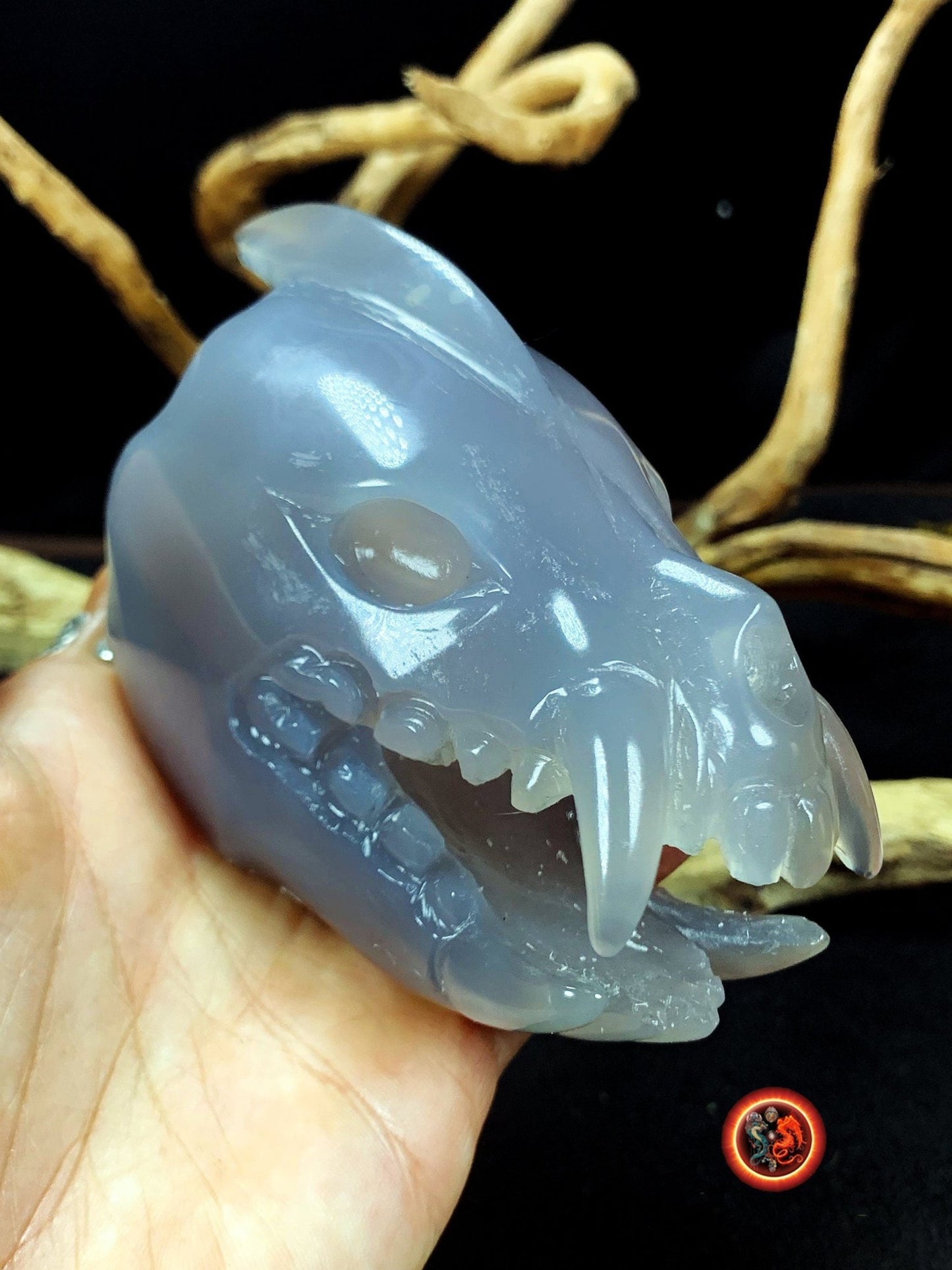 Crane de protection. Leopard Zheng. Dragon. Aspirateur d'energie impure, garant de l'ordre cosmique. Crane de dragon, sculpté dans une geode - obsidian dragon