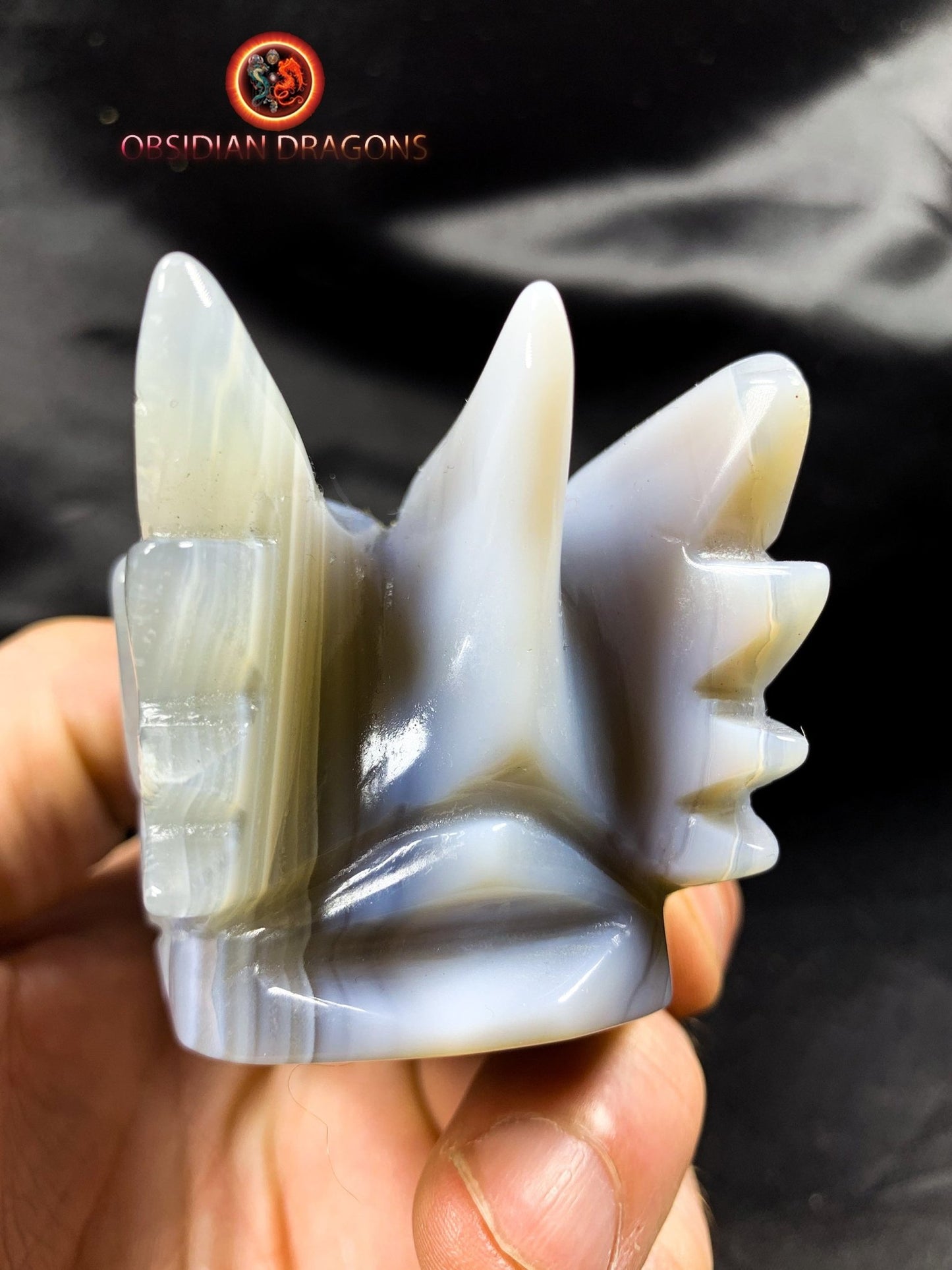 Crâne de dragon, tête de dragon, crâne de cristal, dragon skull