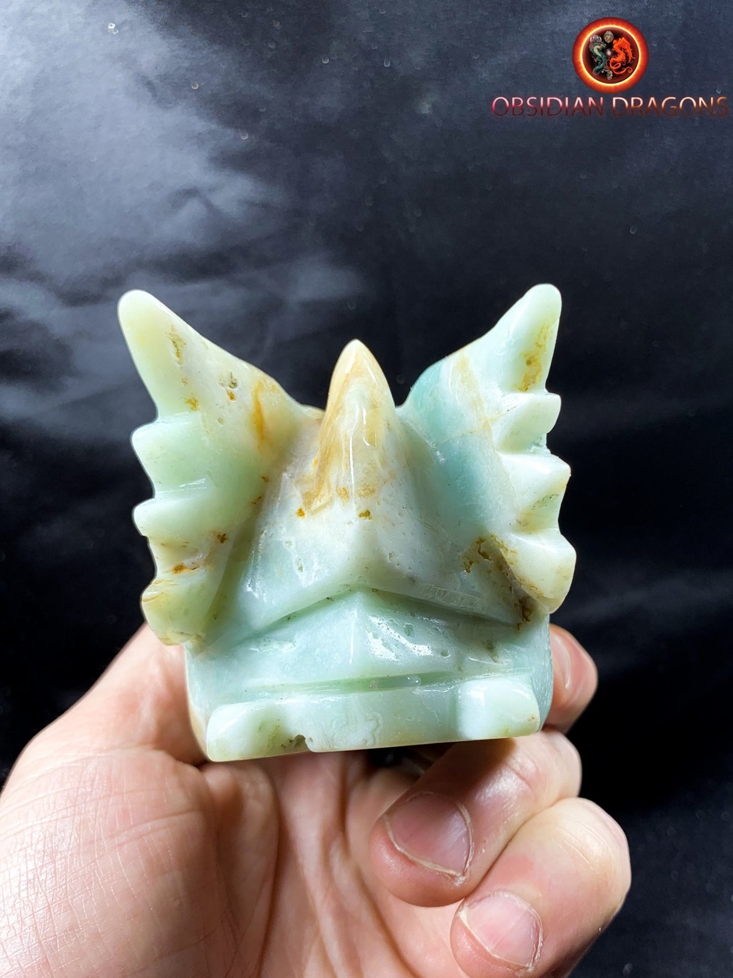 Crâne de dragon, tête de dragon, crâne de cristal, dragon skull