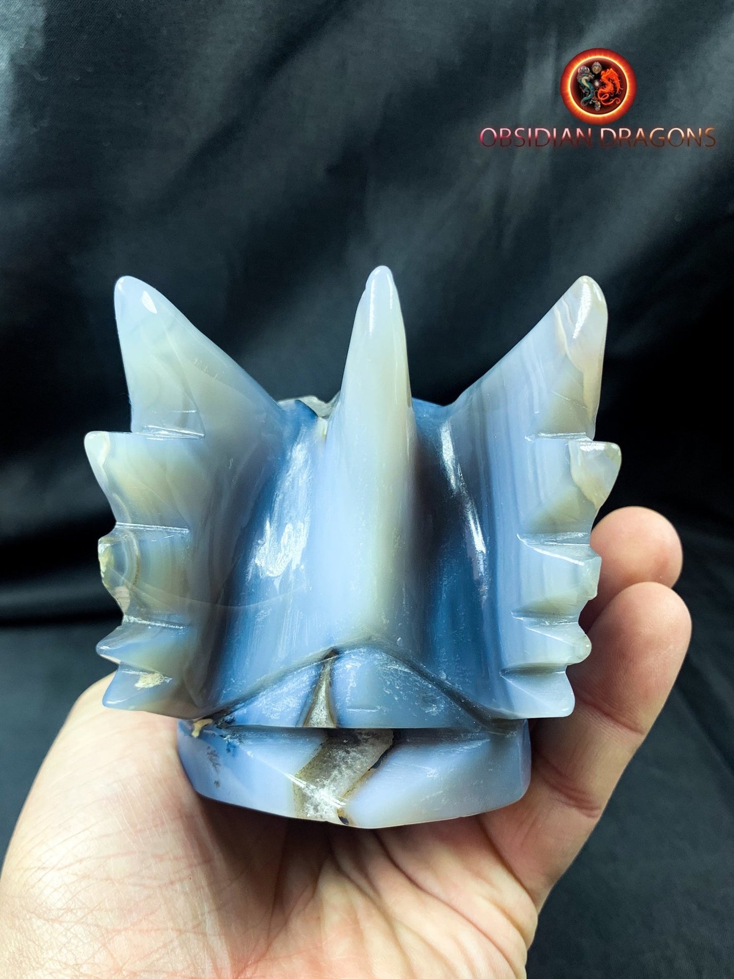 Crâne de dragon, tête de dragon, crâne de cristal, dragon skull,
