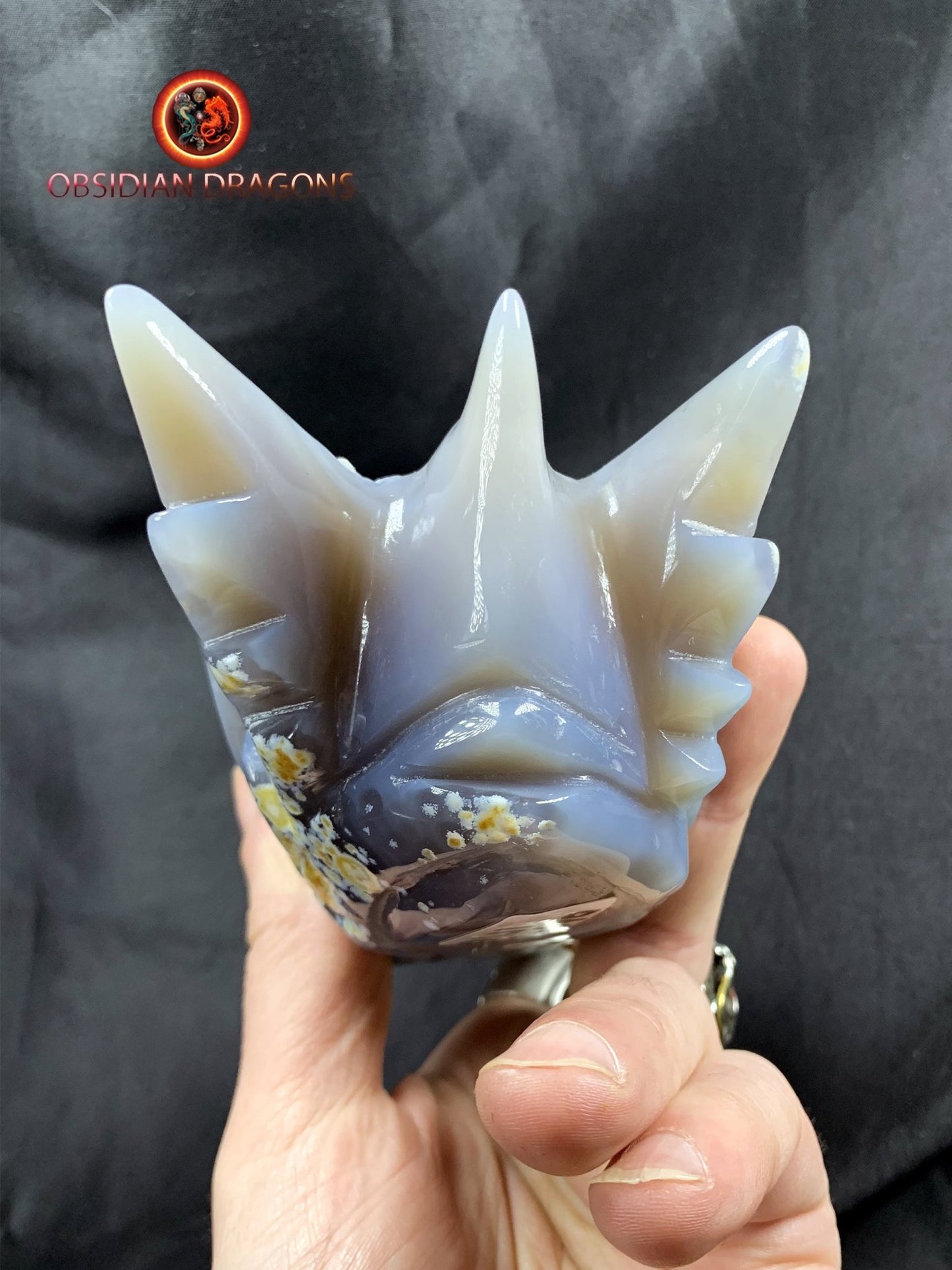 Crâne de dragon, tête de dragon, crâne de cristal, dragon skull