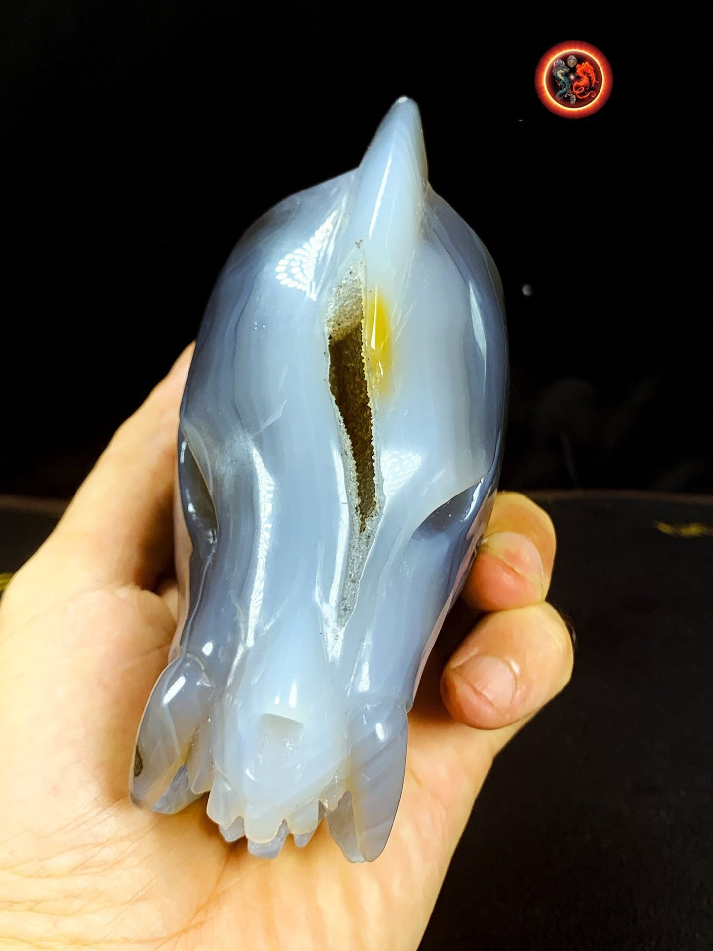 Crane de protection. Leopard Zheng. Dragon. Aspirateur d'energie impure, garant de l'ordre cosmique. Crane de dragon, sculpté dans une geode - obsidian dragon
