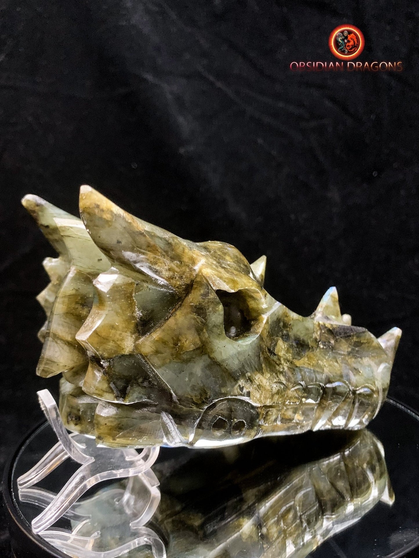 crâne de dragon- Labradorite- Authentique