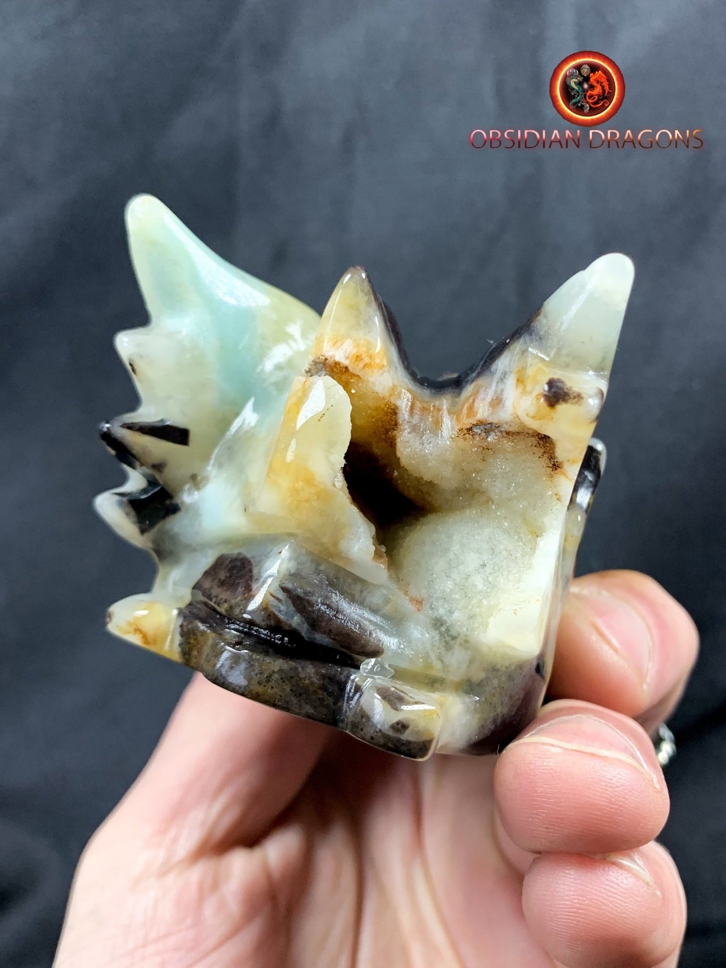 Crâne de dragon, tête de dragon, crâne de cristal, dragon skull,