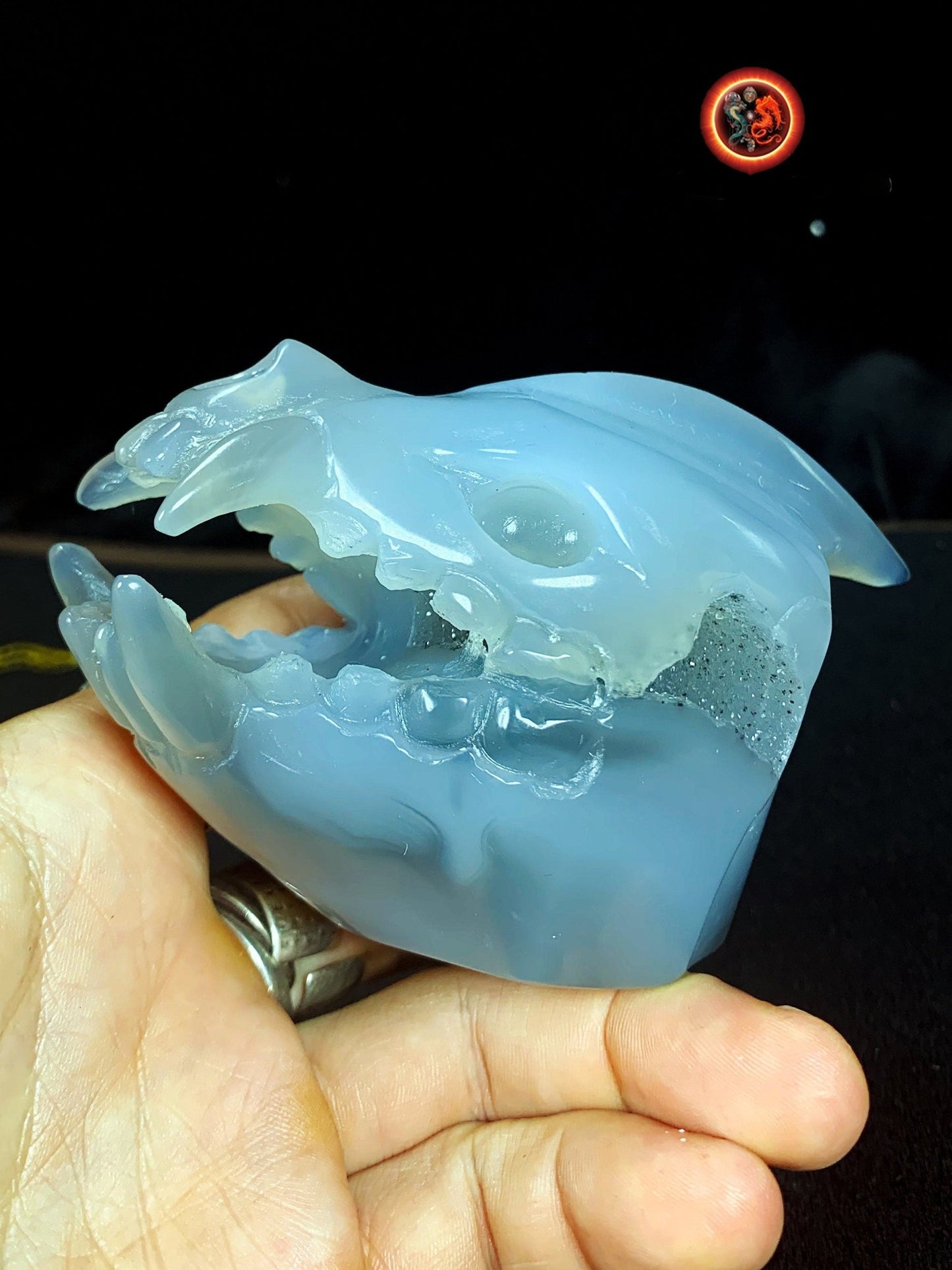 Crane de protection. Leopard Zheng. Dragon. Aspirateur d'energie impure, garant de l'ordre cosmique. Crane de dragon, sculpté dans une geode - obsidian dragon
