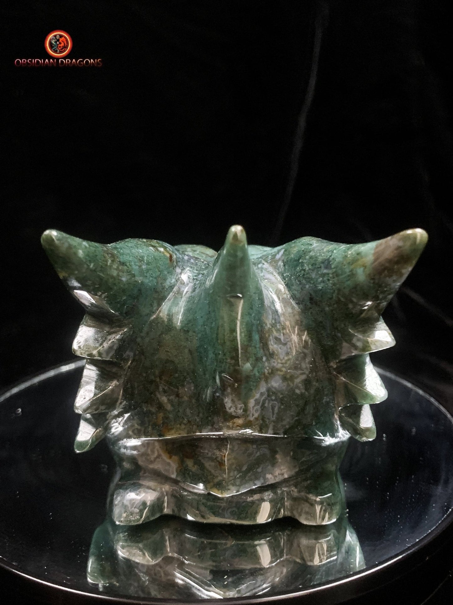 Grand crâne de dragon sculpté en agate mousse | obsidian dragons