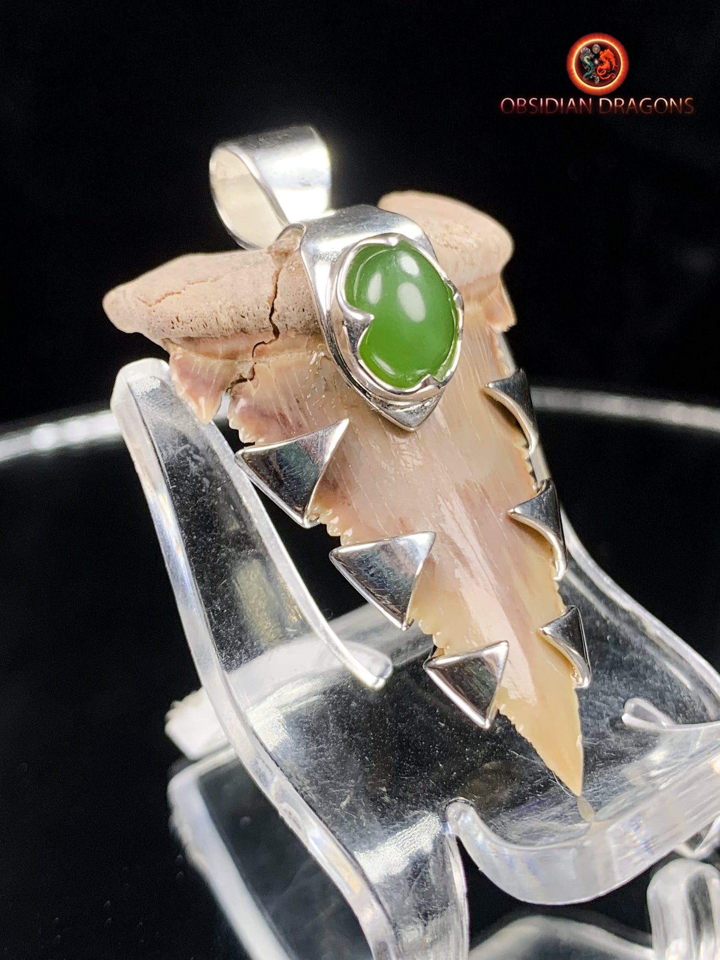 Pendentif Dent de Requin - Palaeocarcharodon - Argent & Jade