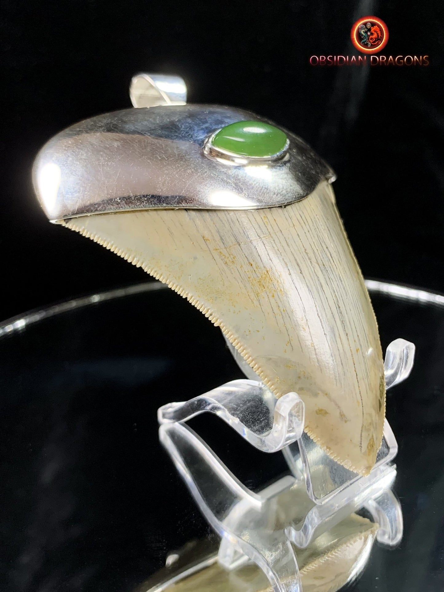Pendentif Dent de Mégalodon - Jade Polaire - Argent 925