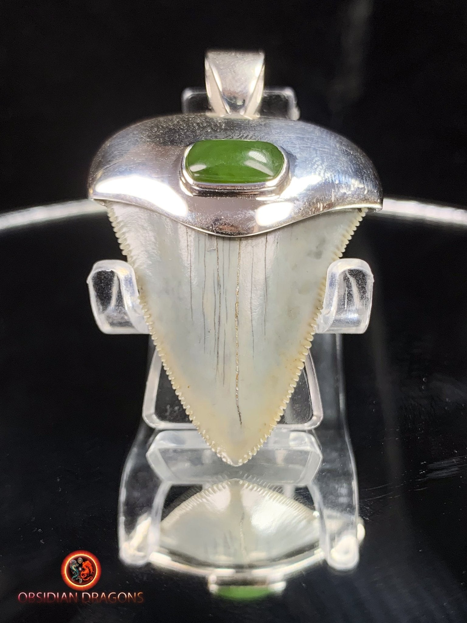 Pendentif Dent de Mégalodon - Jade- Argent 925
