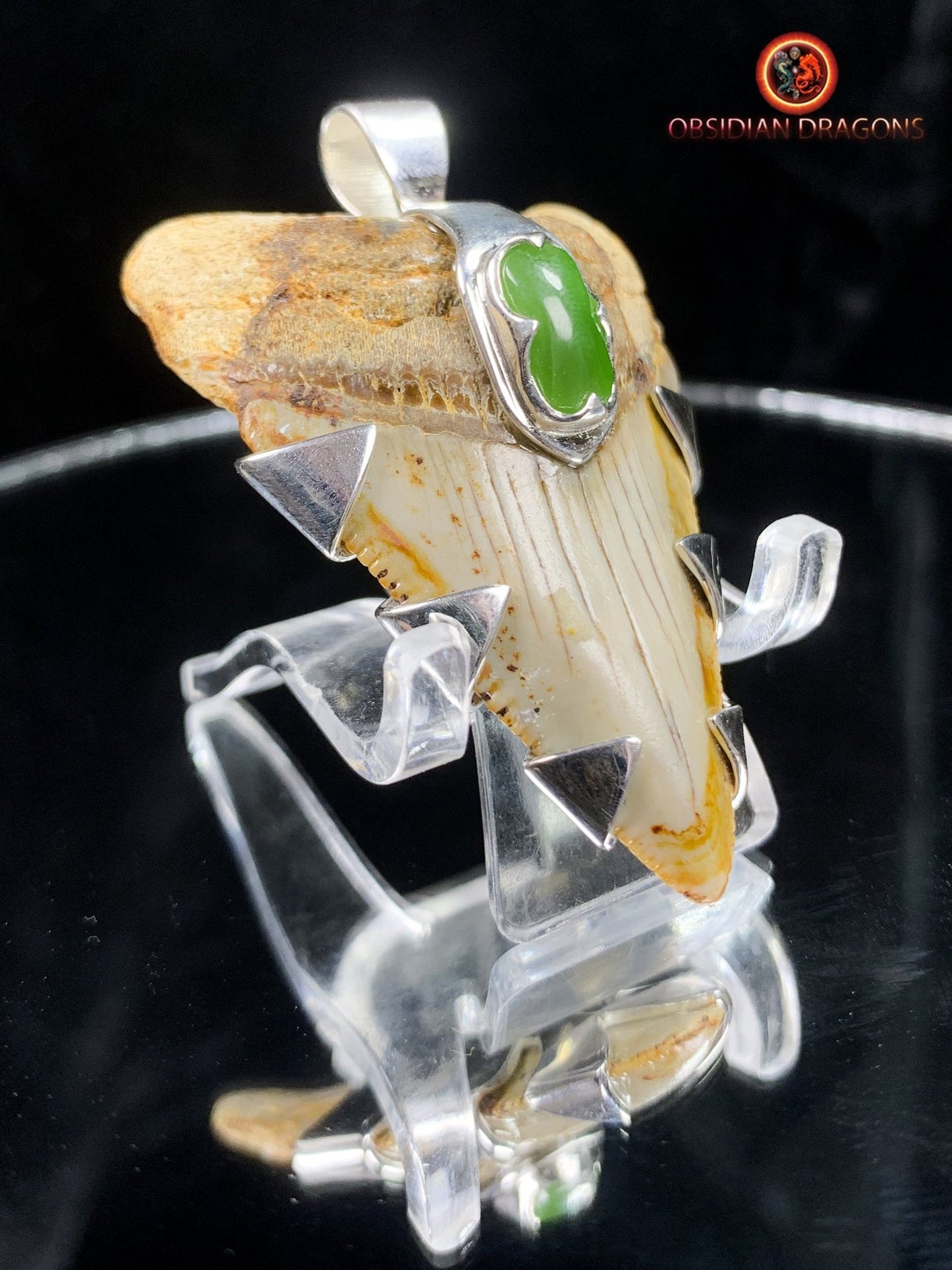 Pendentif Dent de Mégalodon - Jade- Argent 925