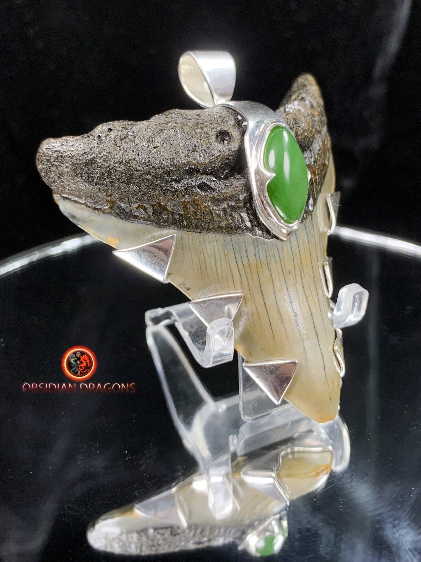 Pendentif Dent de Mégalodon - Jade- Argent 925