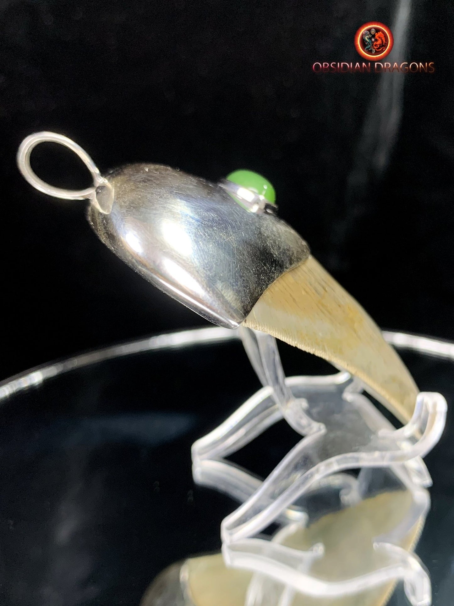 Pendentif Dent de Mégalodon - Jade Polaire - Argent 925