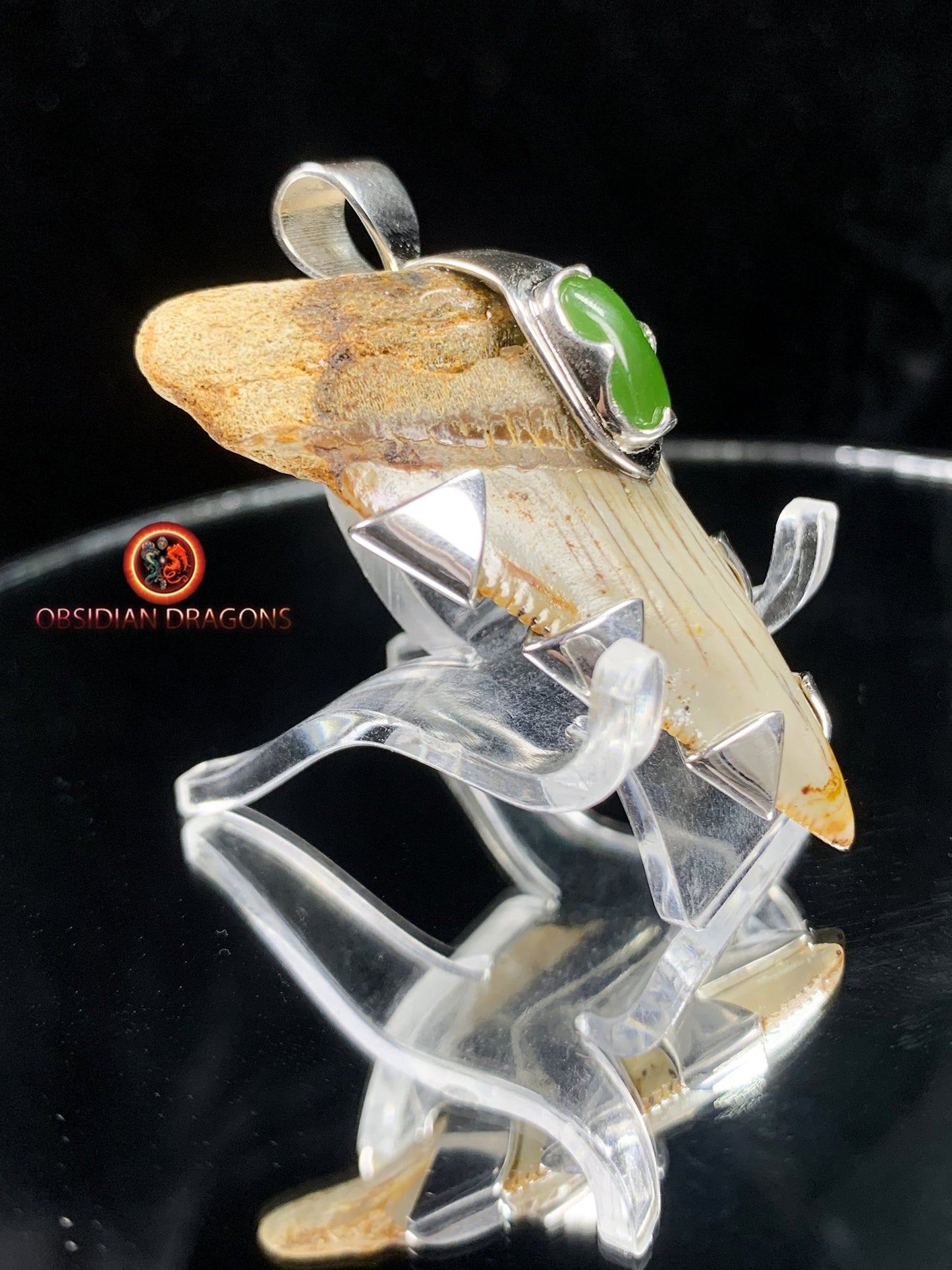 Pendentif Dent de Mégalodon - Jade- Argent 925