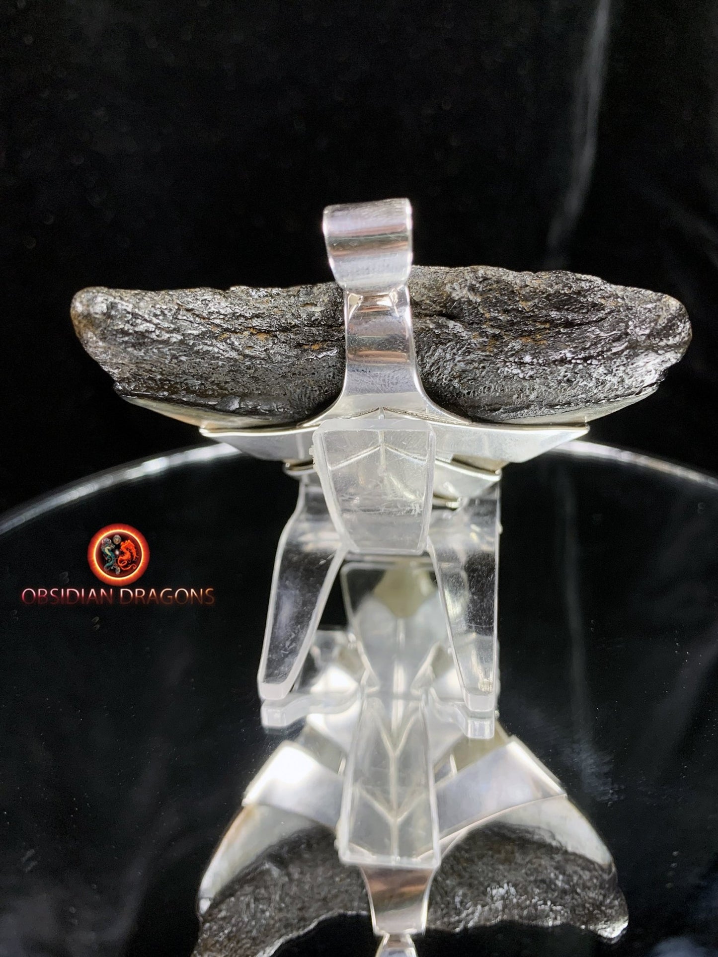 Pendentif Dent de Mégalodon - Jade- Argent 925