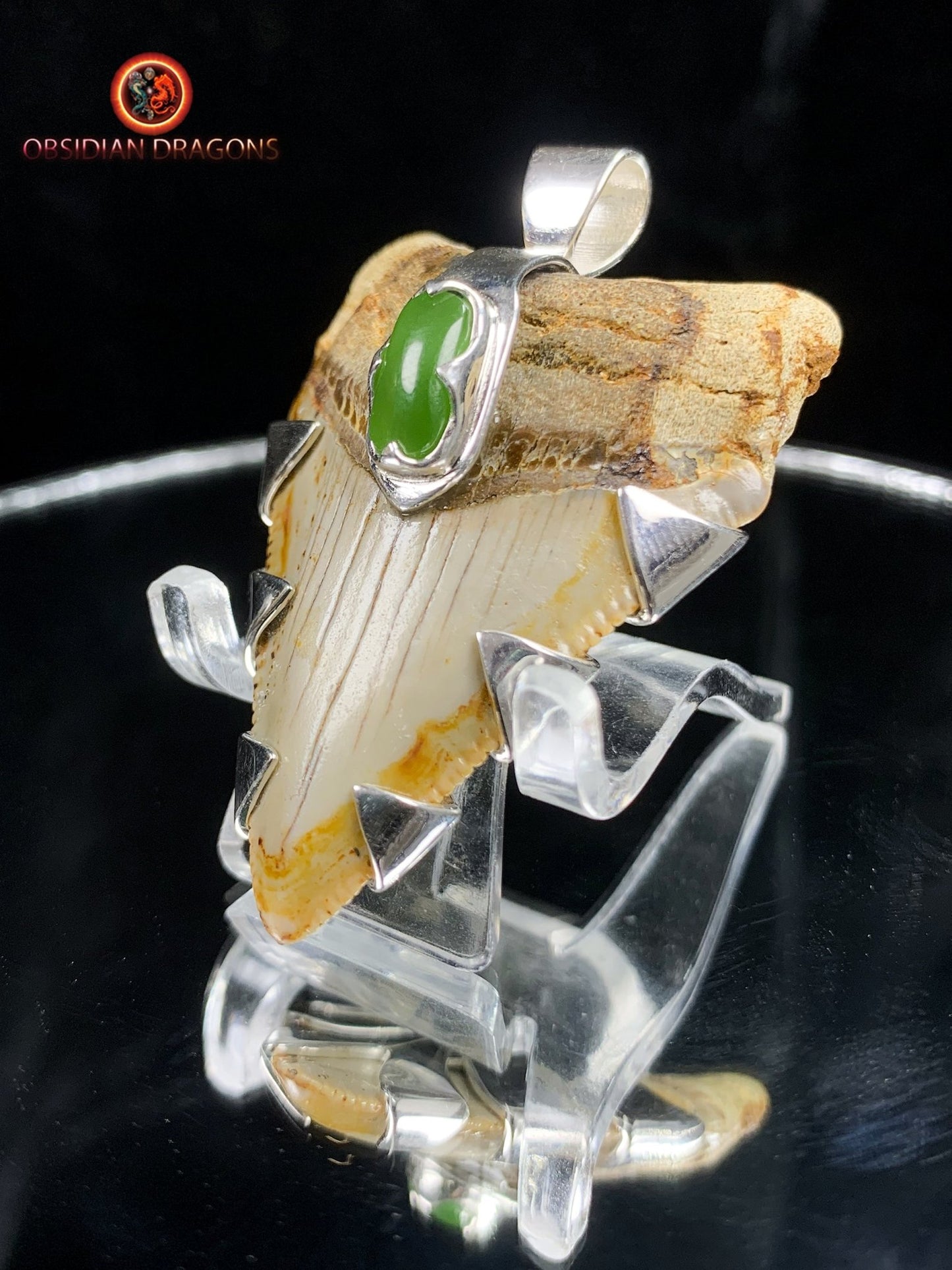 Pendentif Dent de Mégalodon - Jade- Argent 925