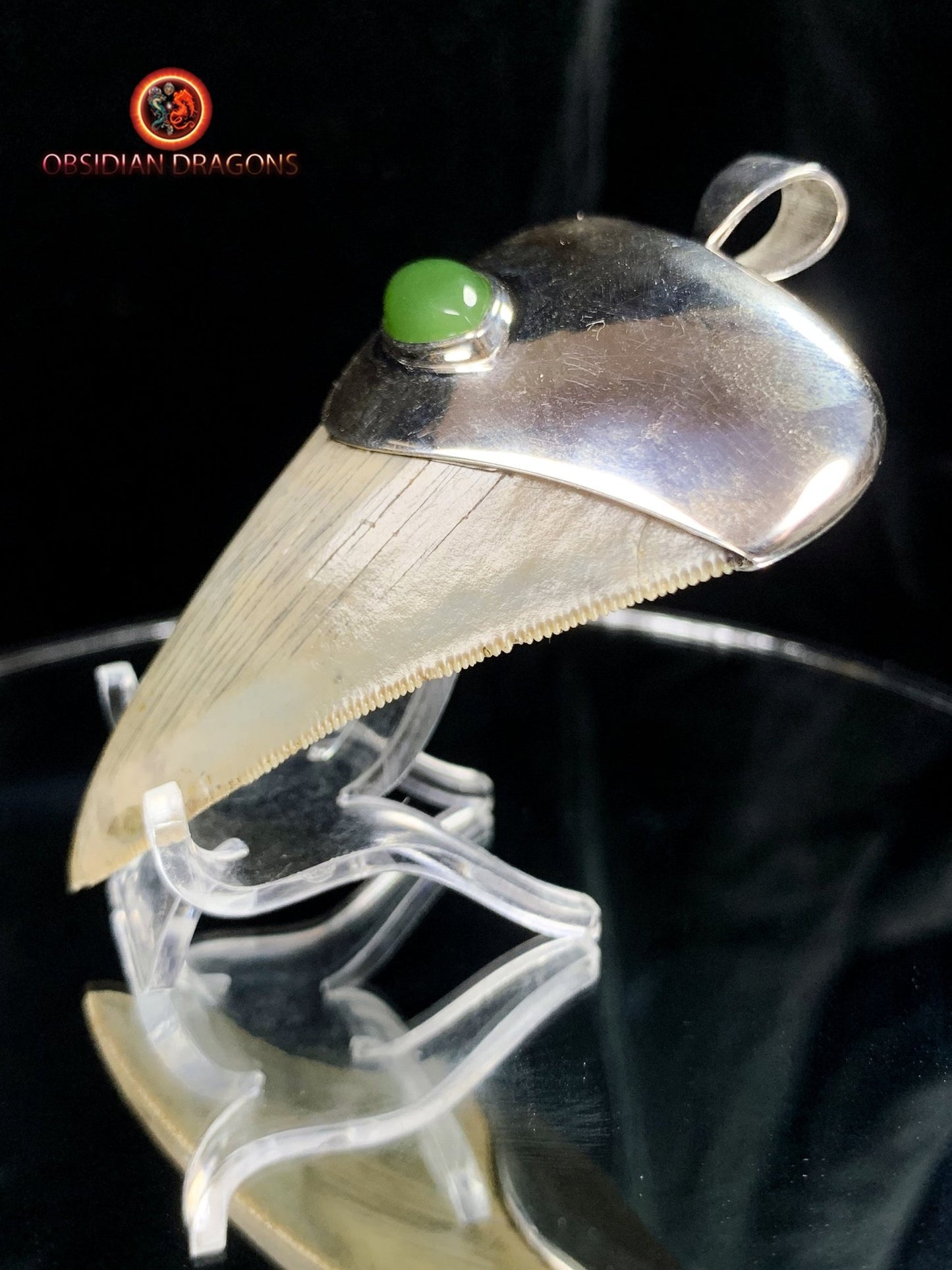 Pendentif Dent de Mégalodon - Jade Polaire - Argent 925