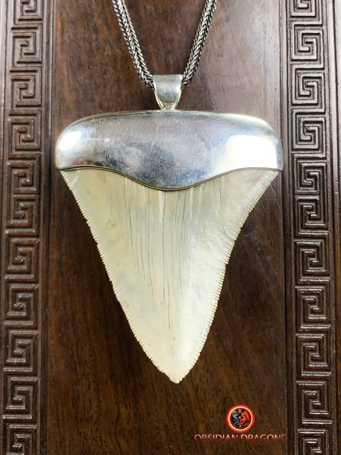 Pendentif Dent de Mégalodon - Jade Polaire - Argent 925