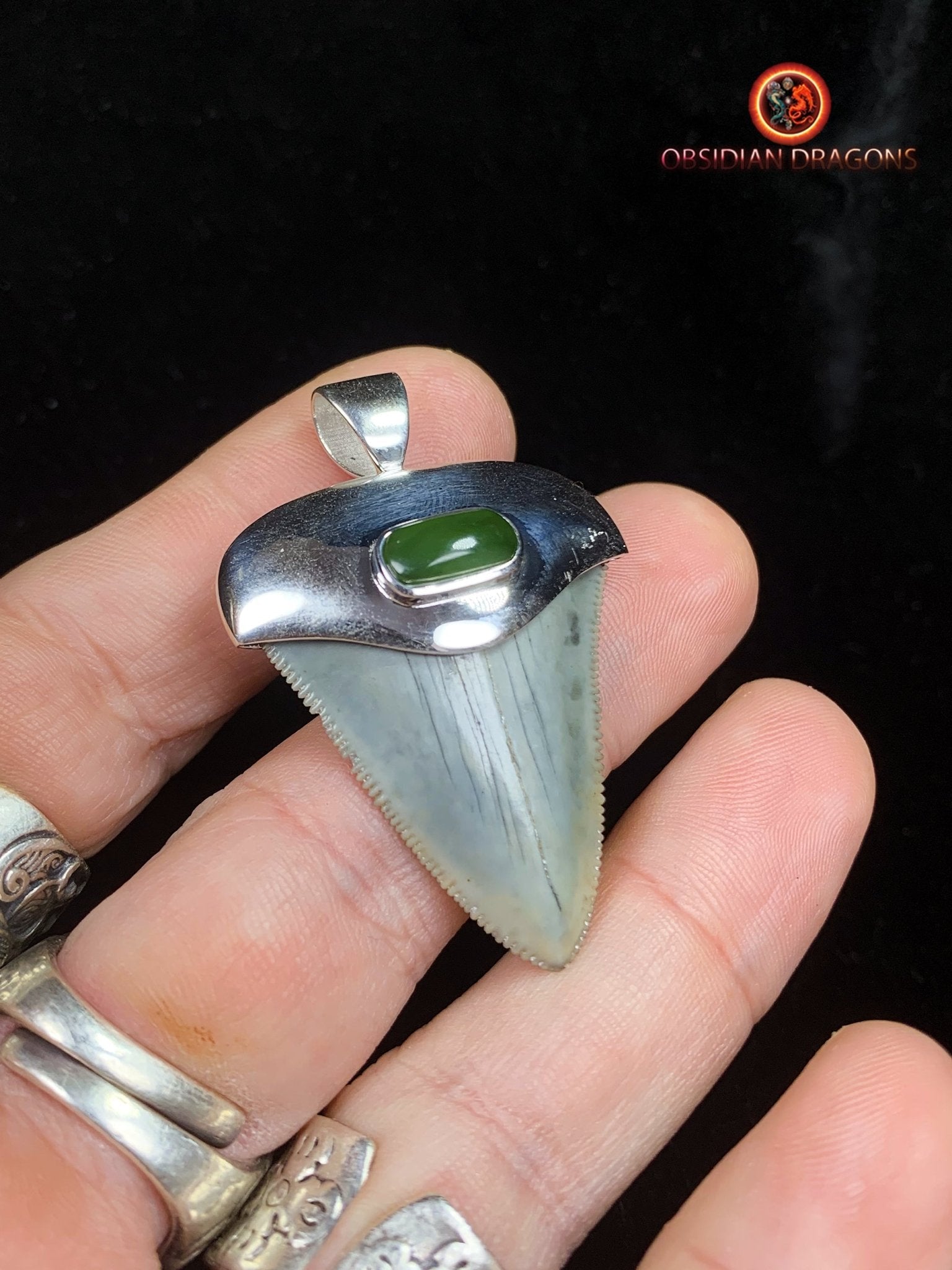 Pendentif Dent de Mégalodon - Jade- Argent 925