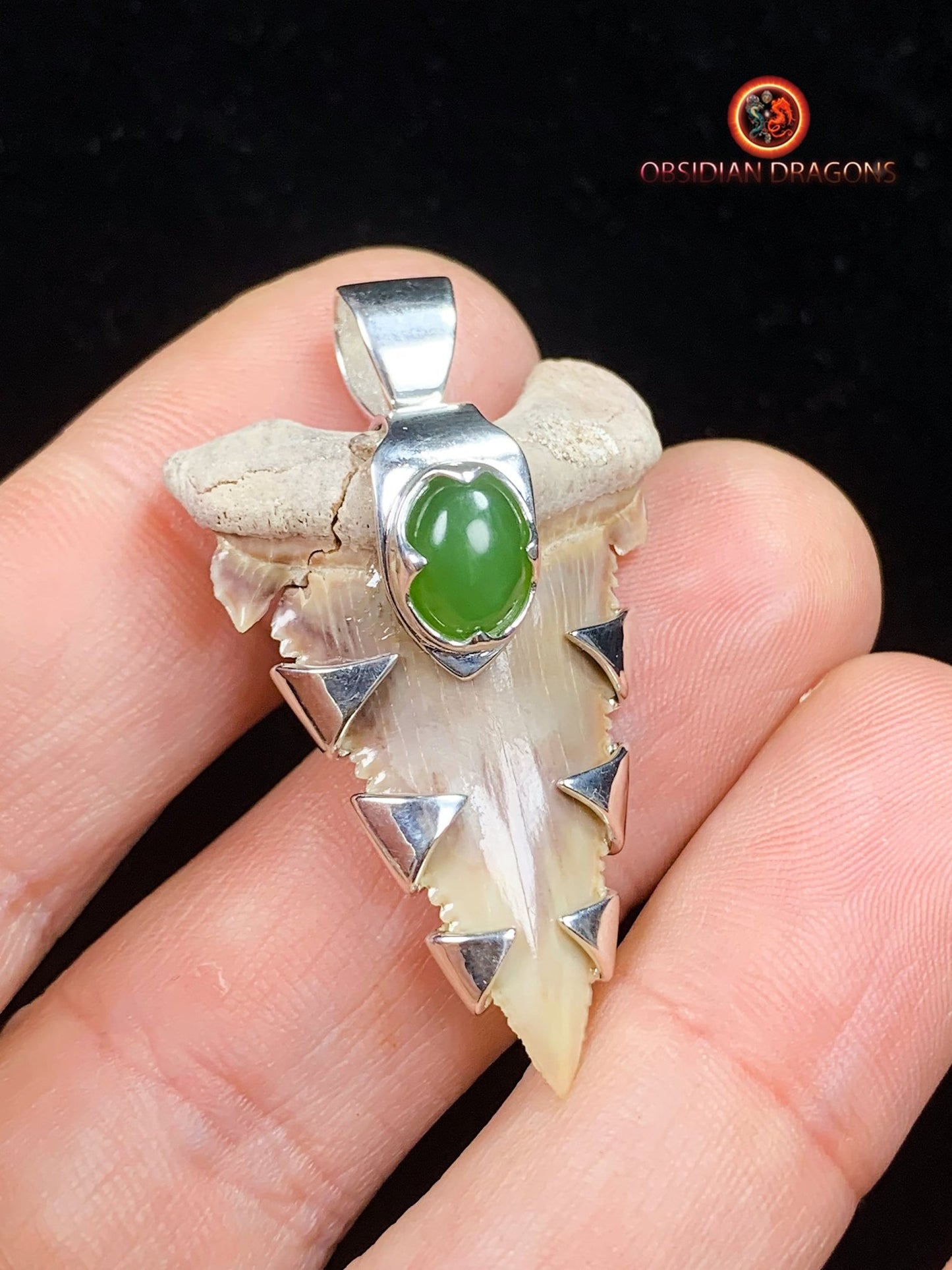 Pendentif Dent de Requin - Palaeocarcharodon - Argent & Jade