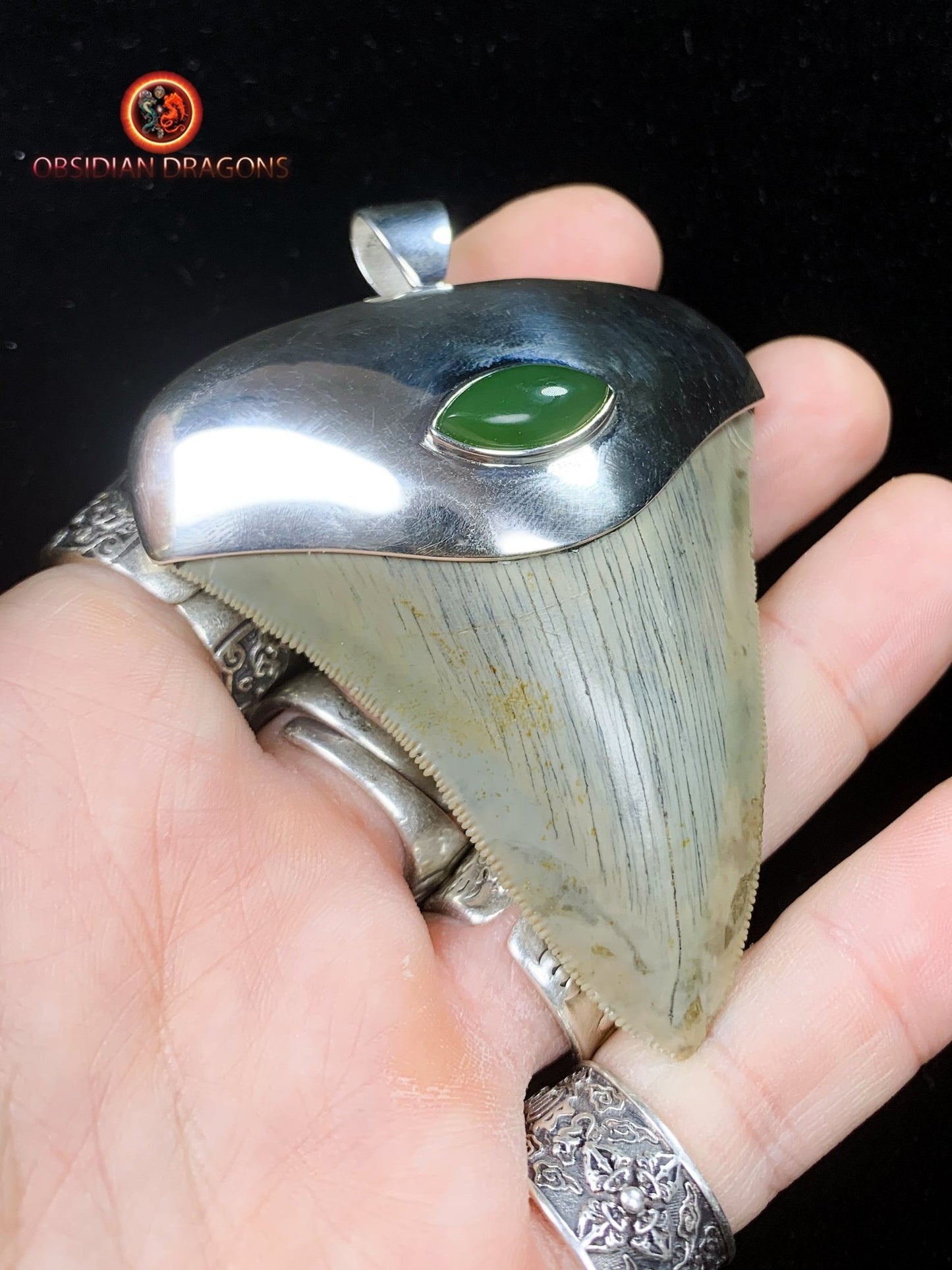 Pendentif Dent de Mégalodon - Jade Polaire - Argent 925