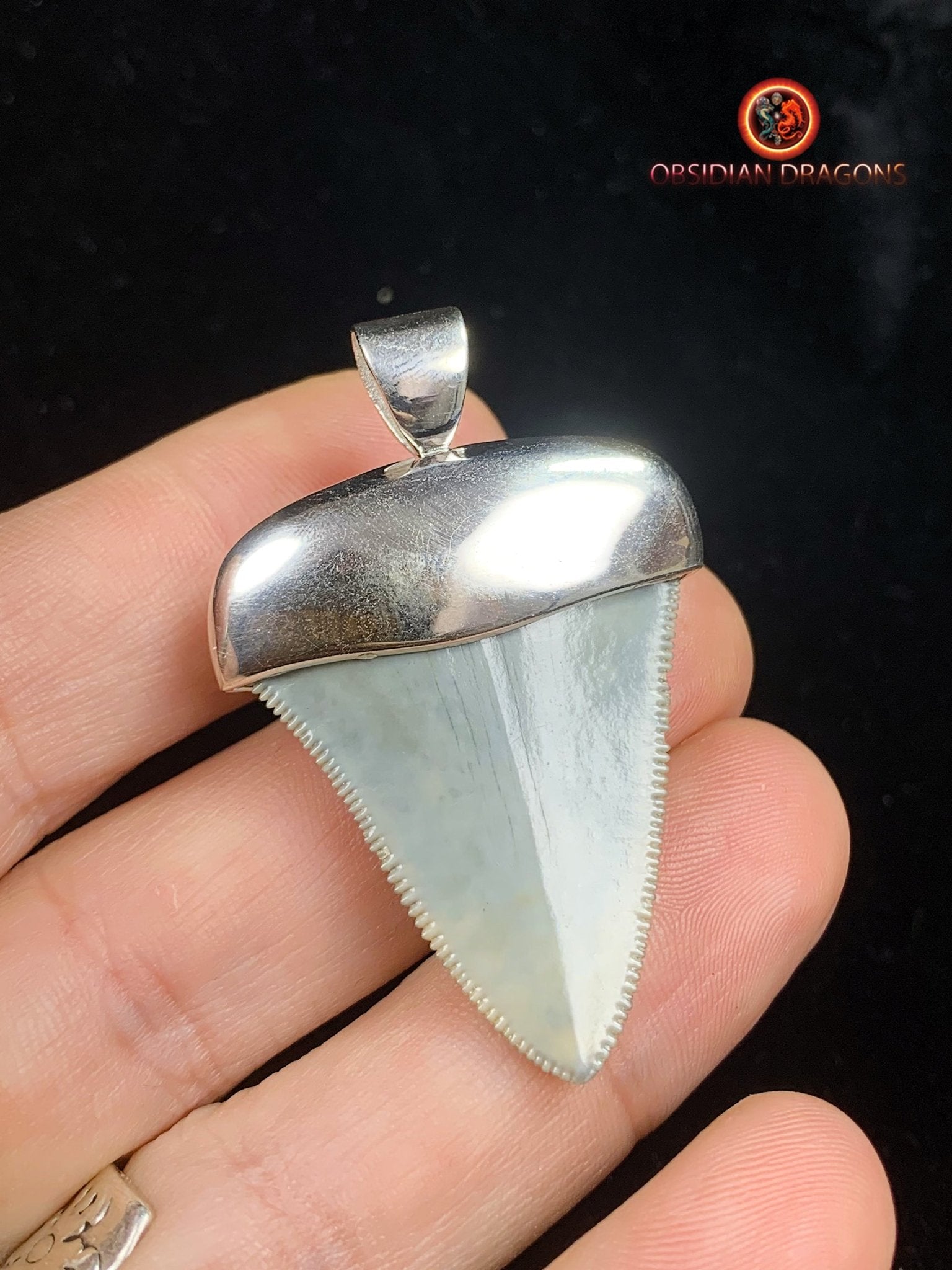 Pendentif Dent de Mégalodon - Jade- Argent 925