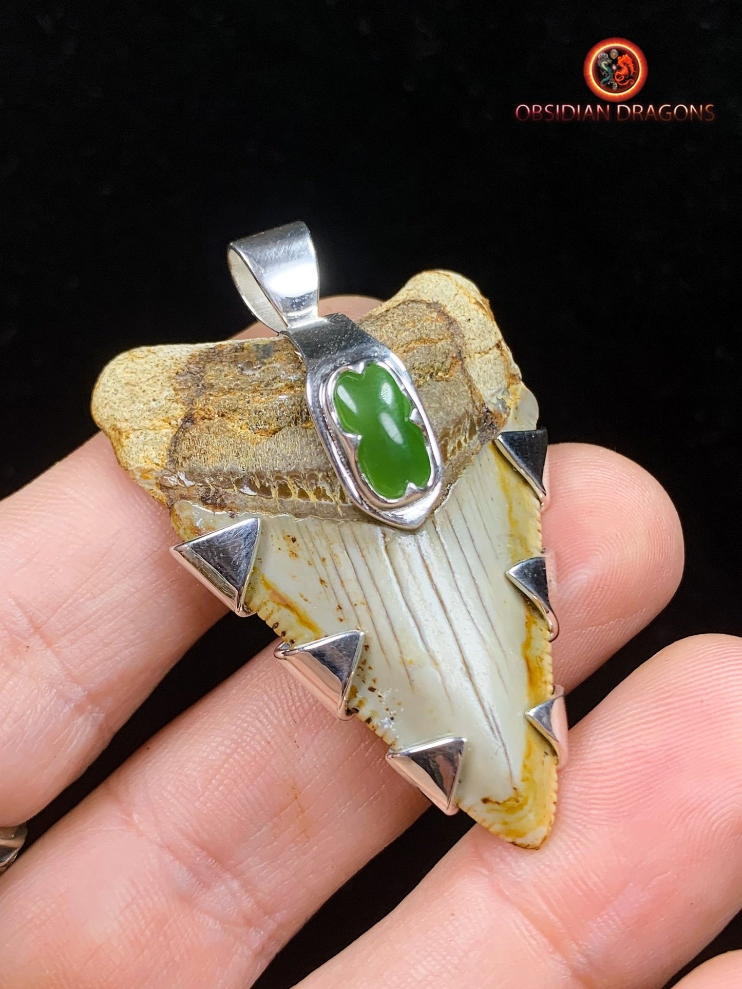 Pendentif Dent de Mégalodon - Jade- Argent 925